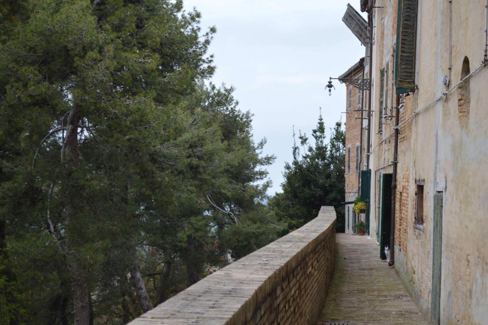 Agriturismo Tenuta Belvedere