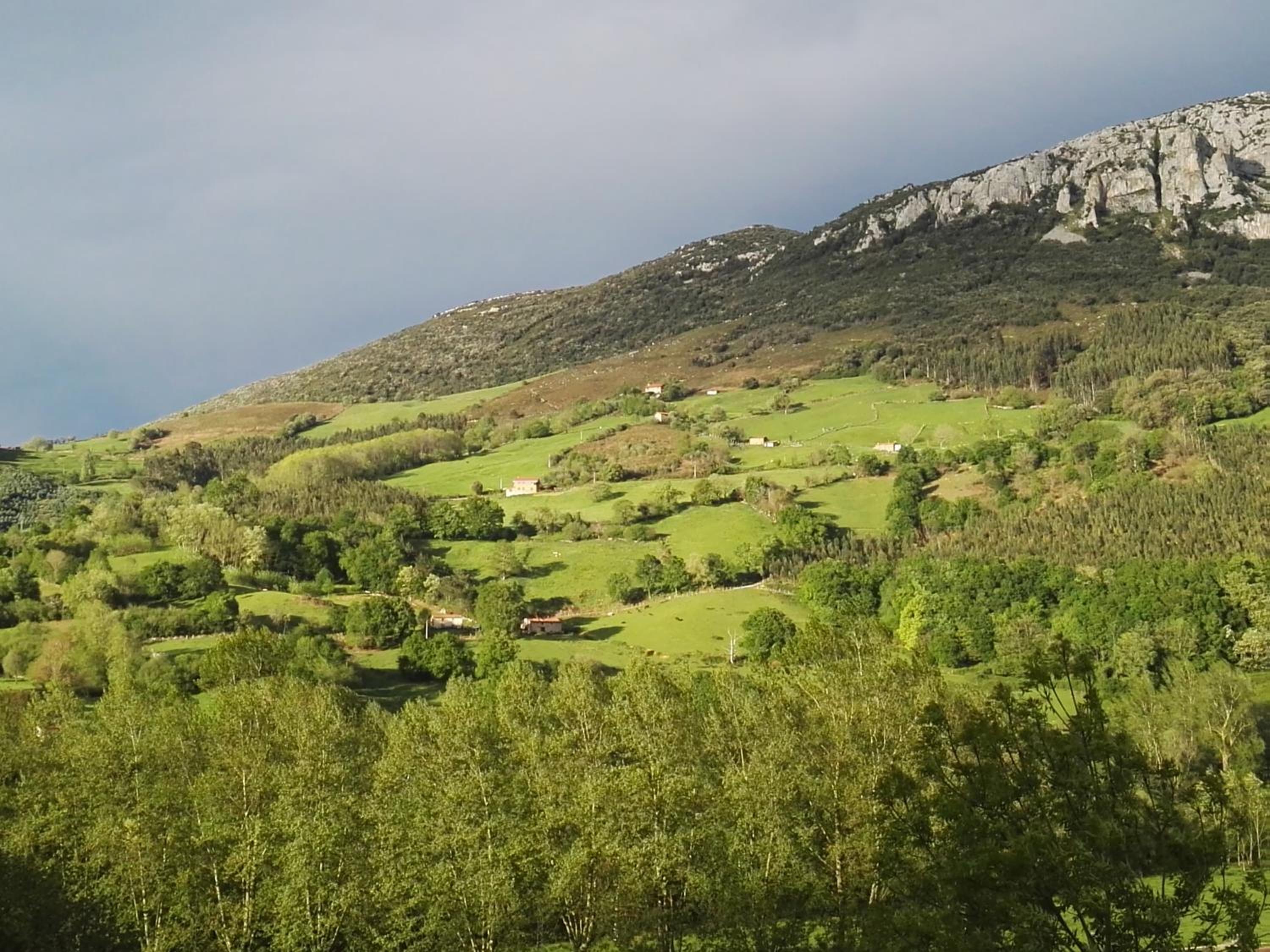 Finca Artienza