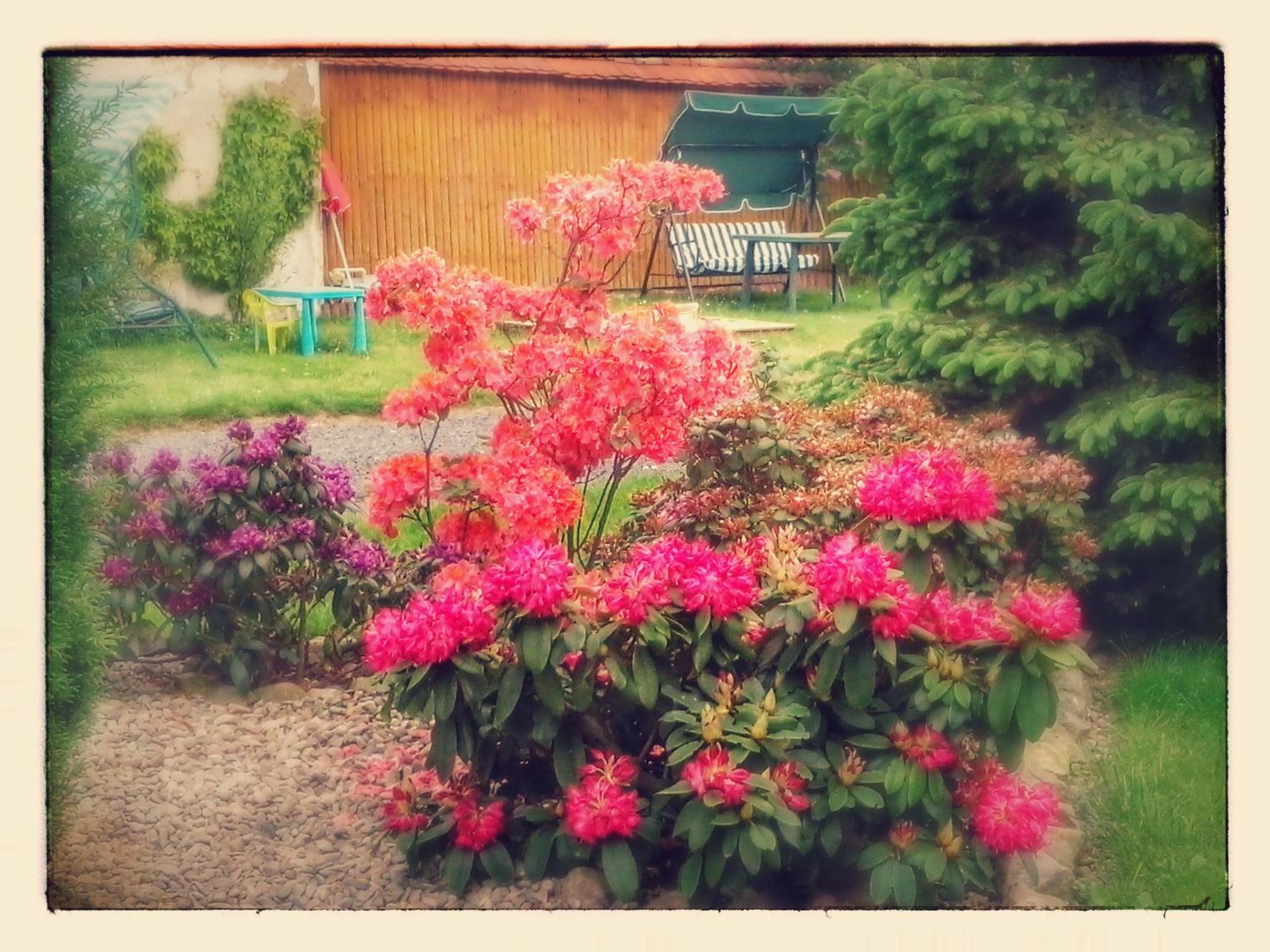 Photo 38