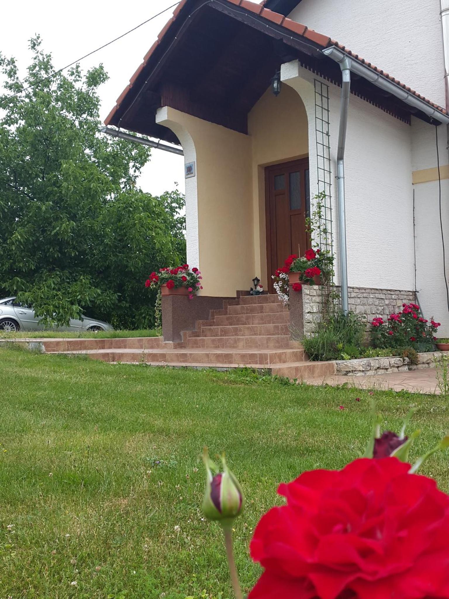 Photo 33