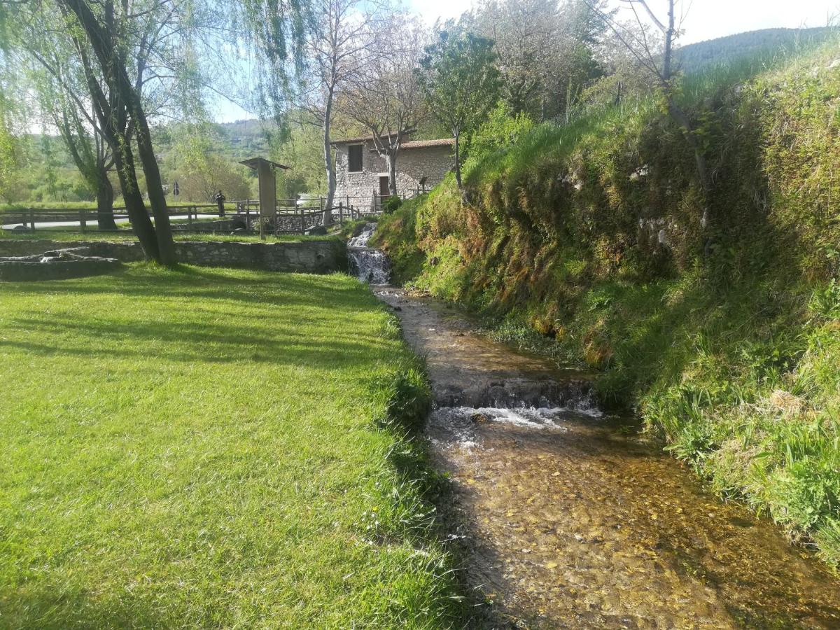 Photo 28