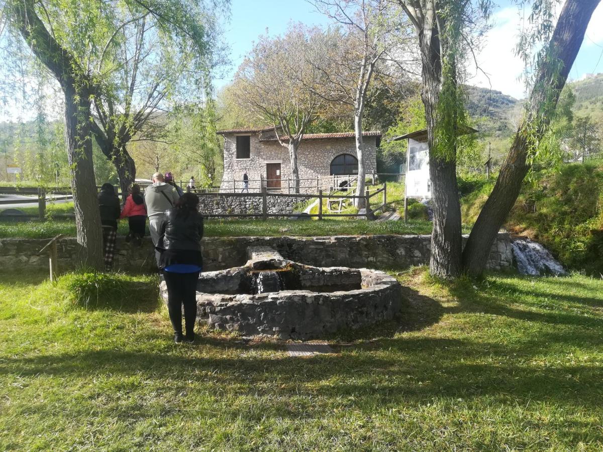 Photo 26