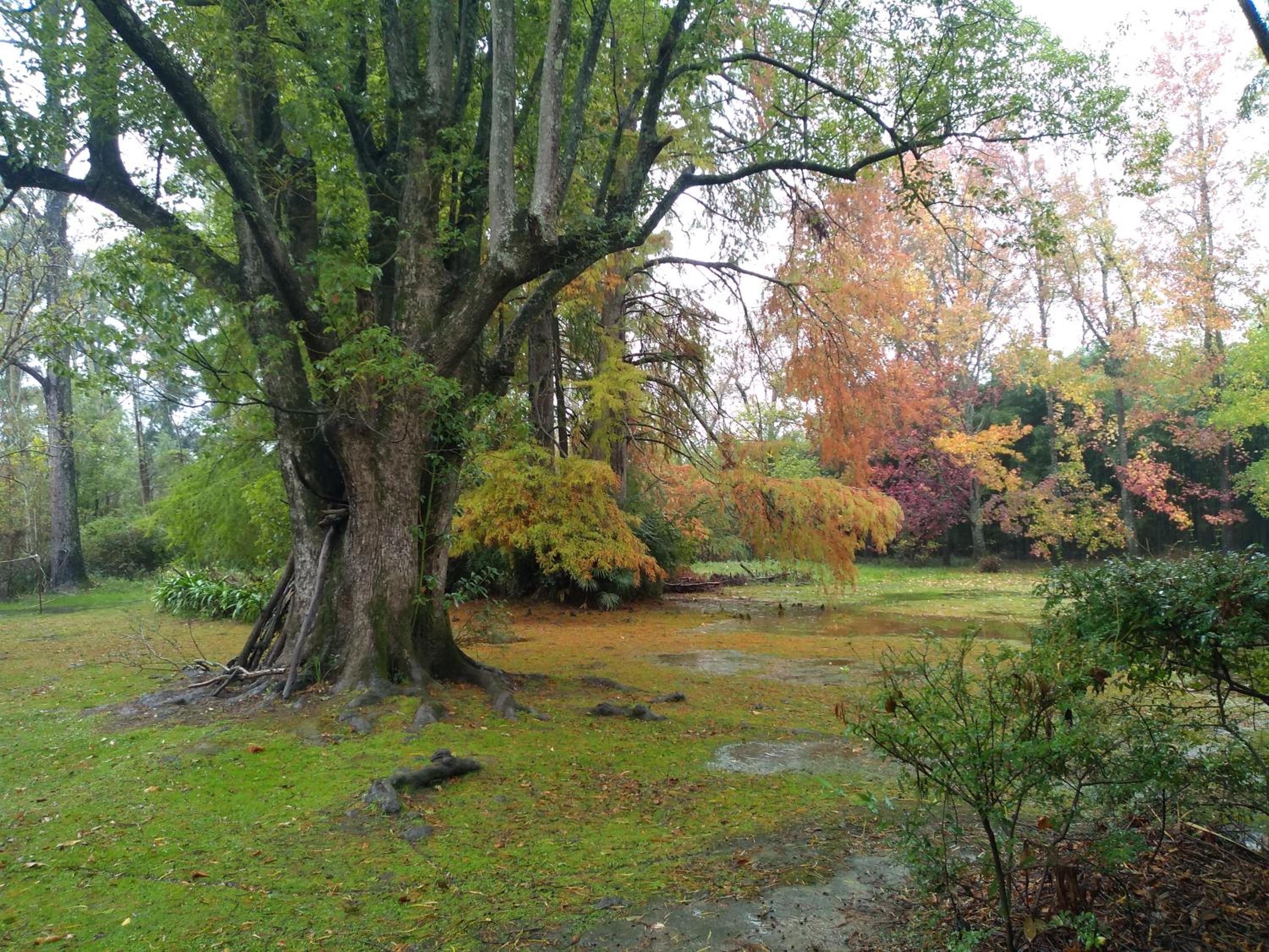 Casa del Bosque