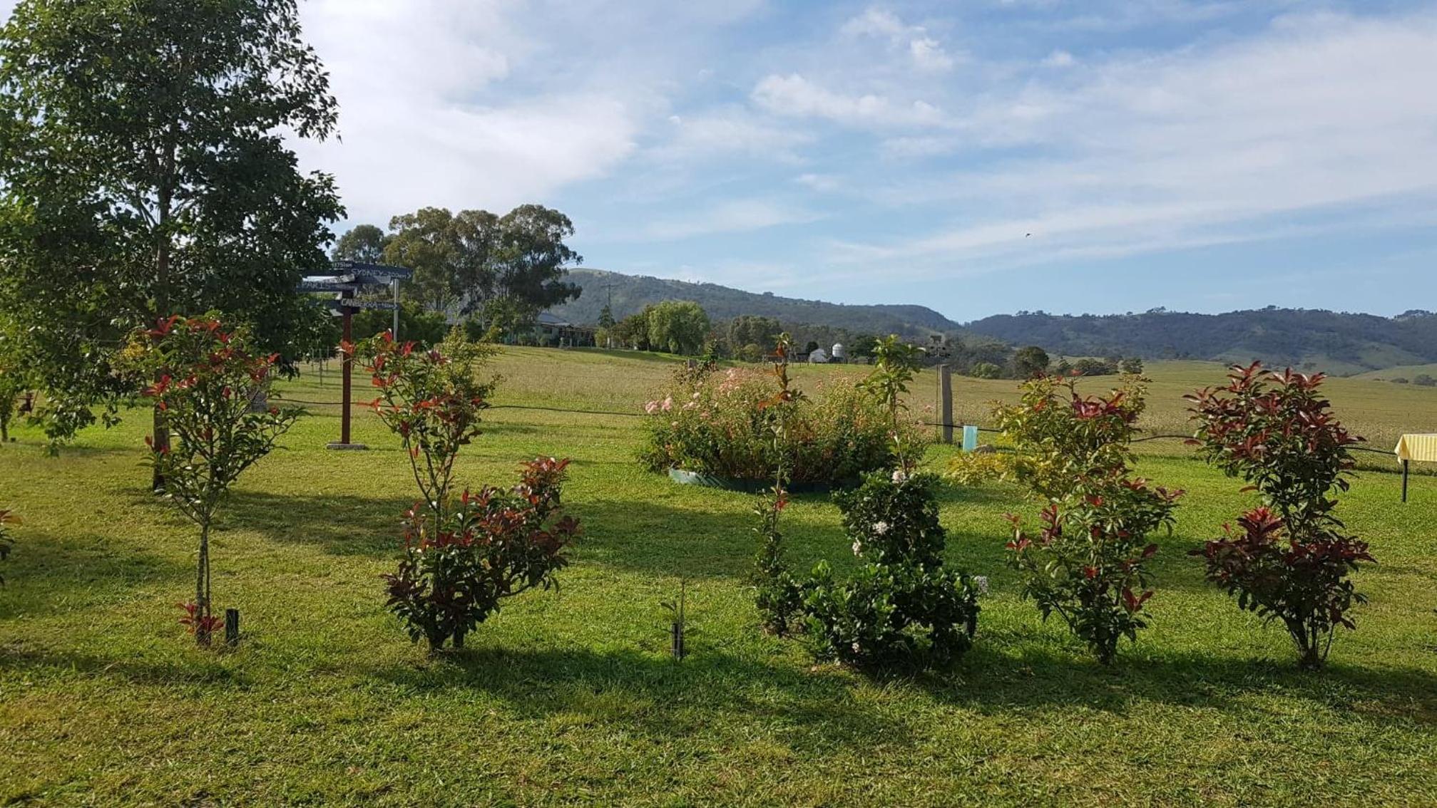 The Wattle Lodge