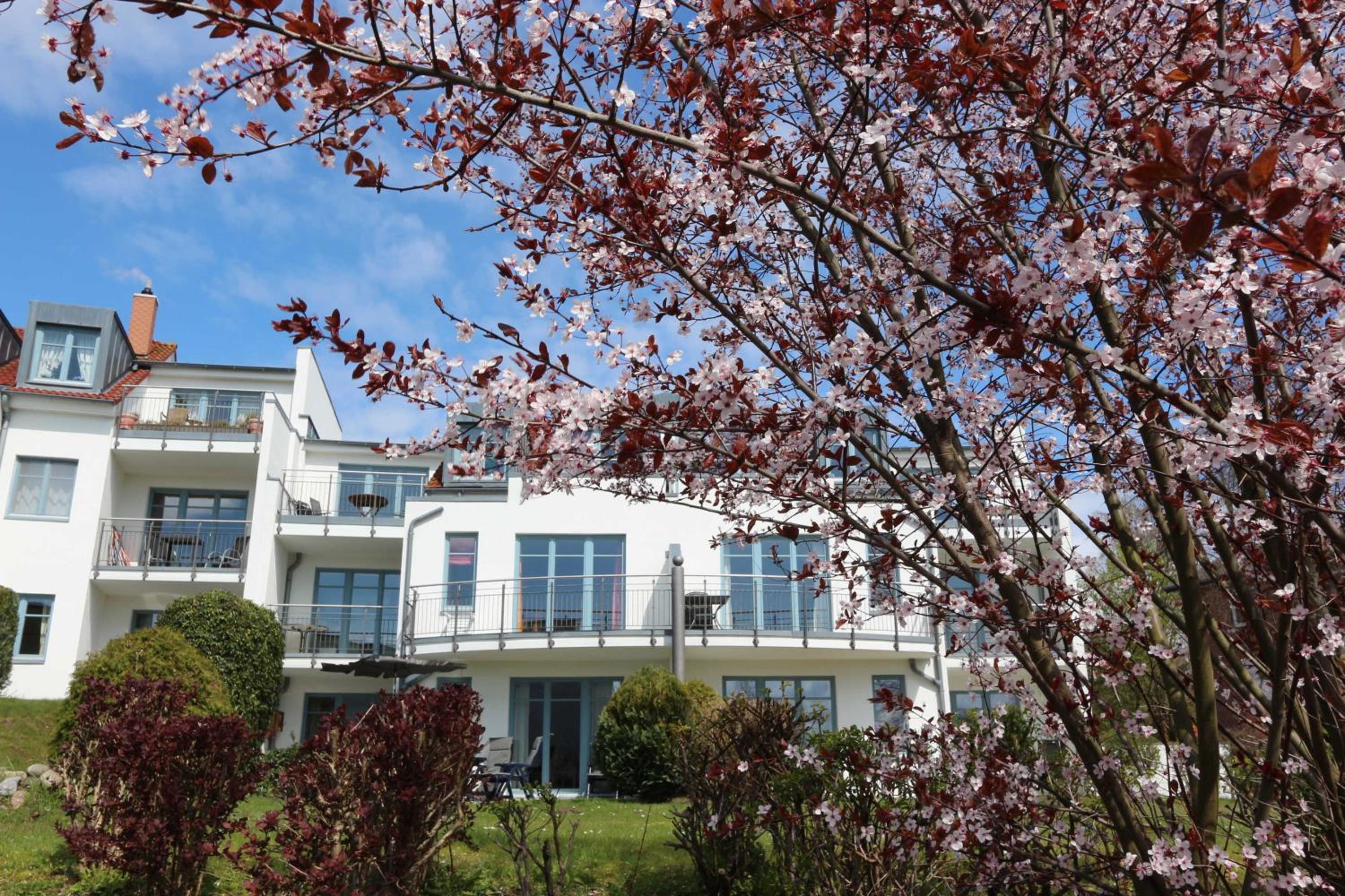 Residenz Bellevue exklusive Fewo 39 en Zinnowitz