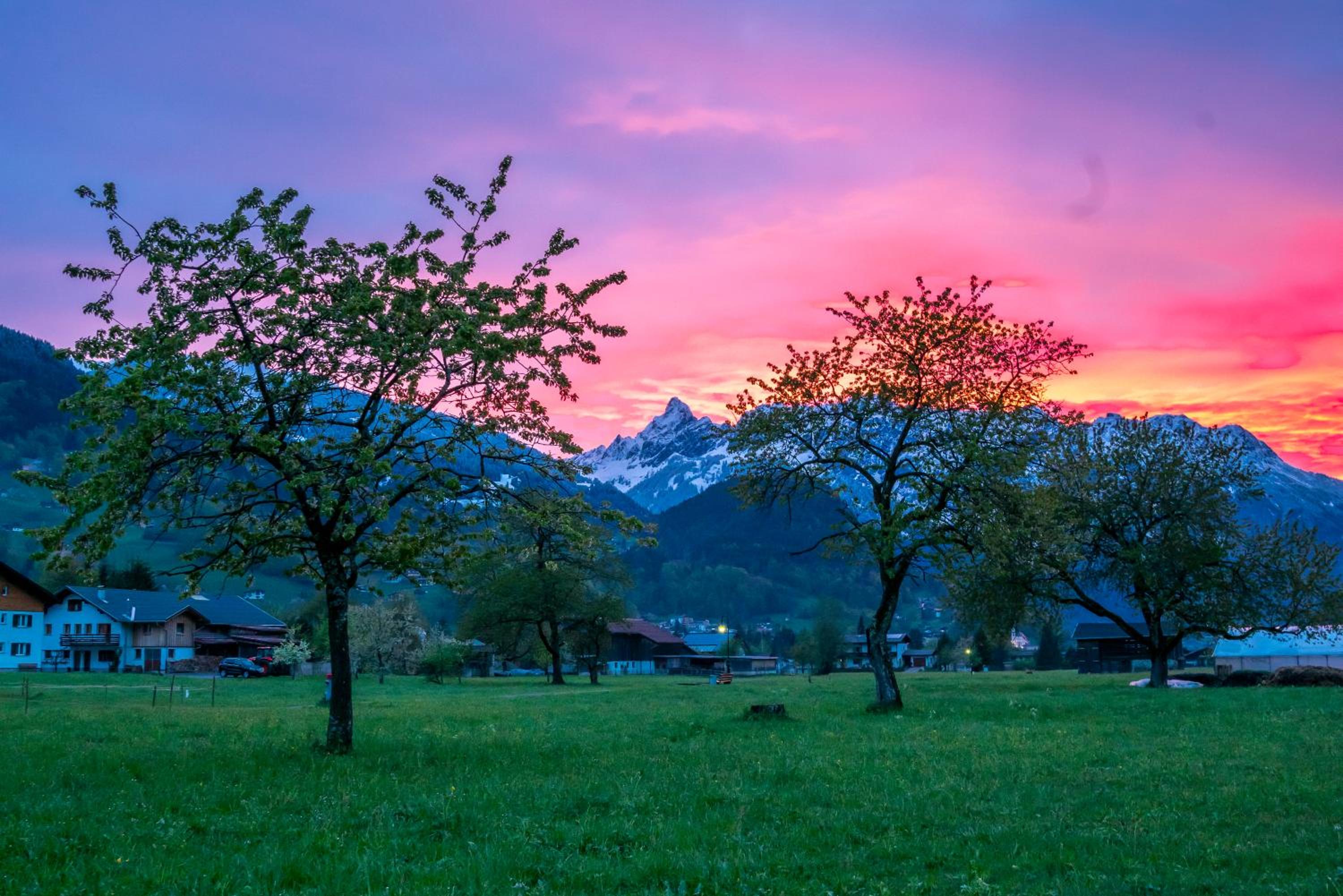 Hof im Feld