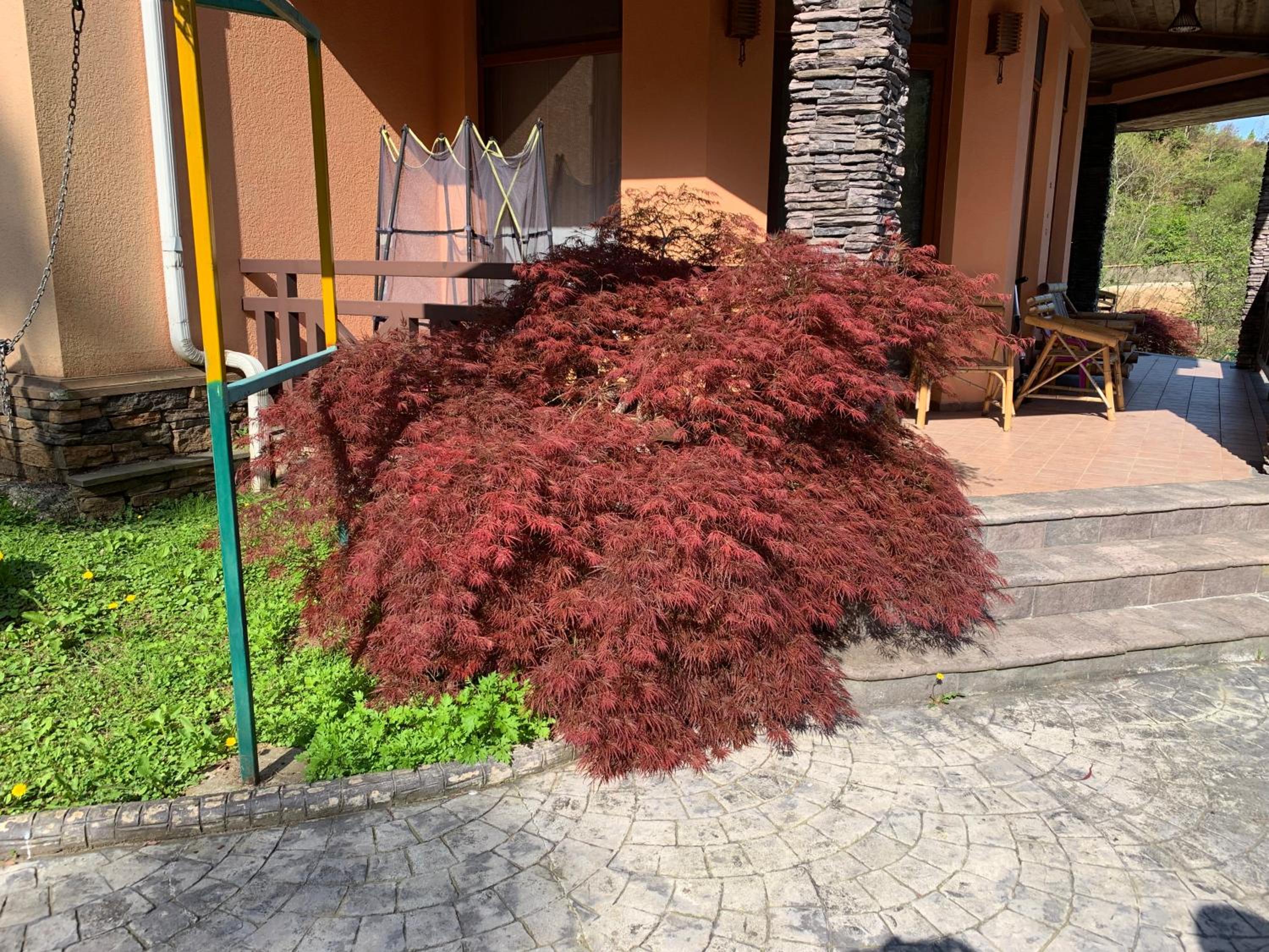 Photo 37
