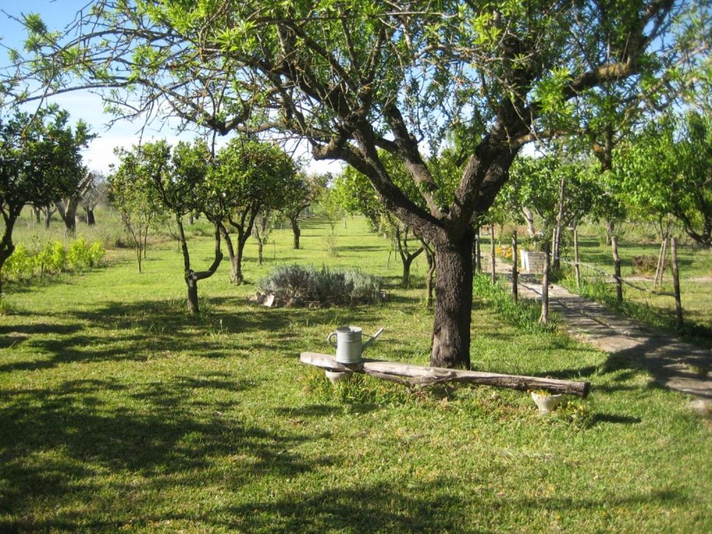 Photo 31