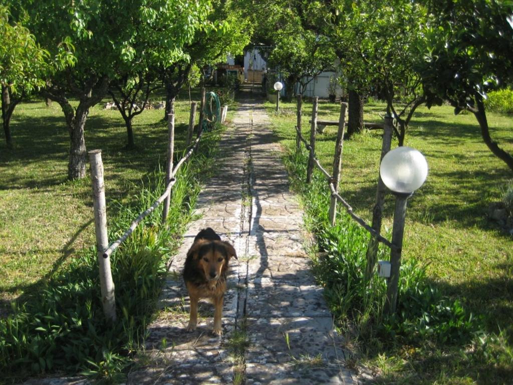 Photo 34