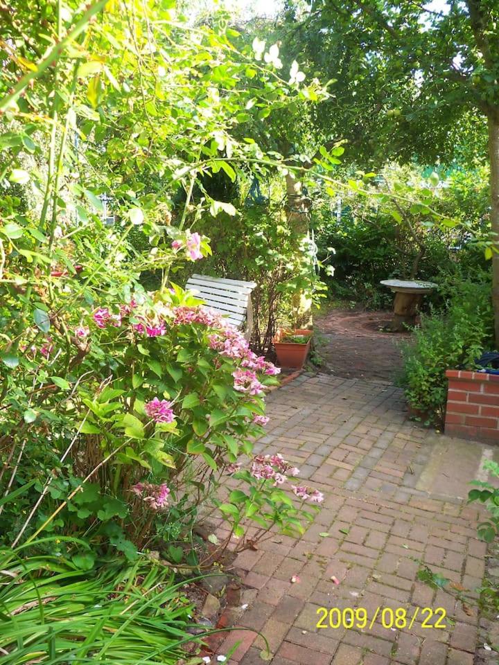 Photo 20