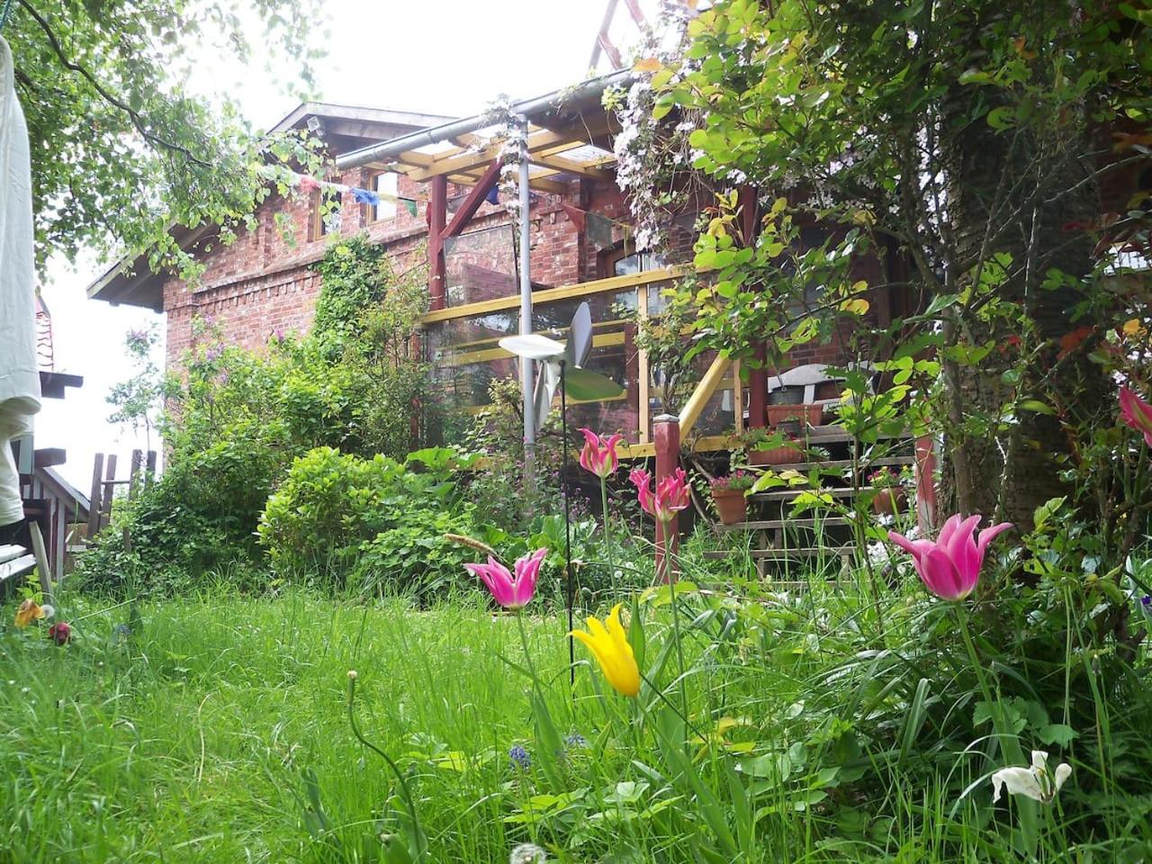 Photo 23