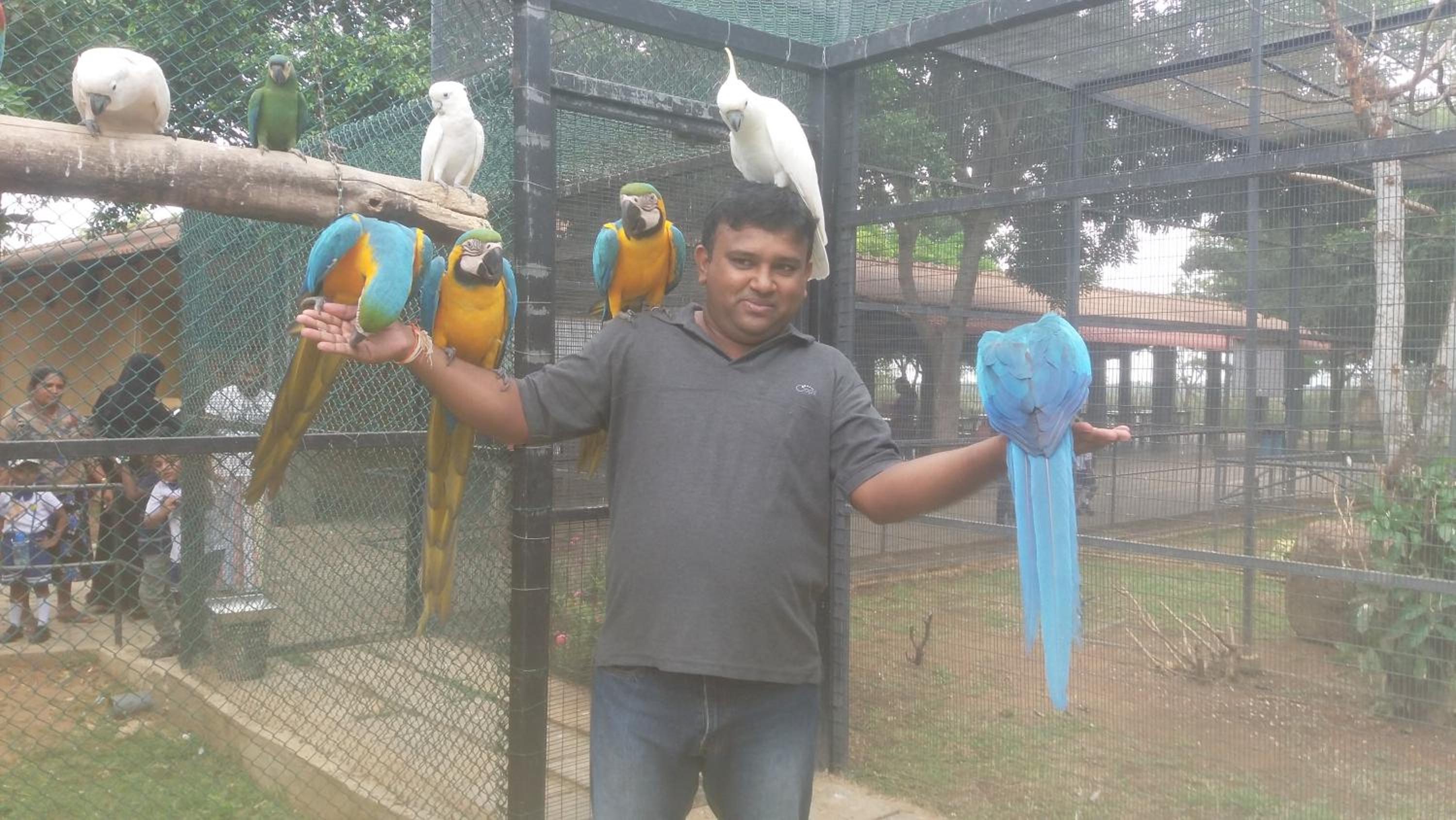 Amawin Resort