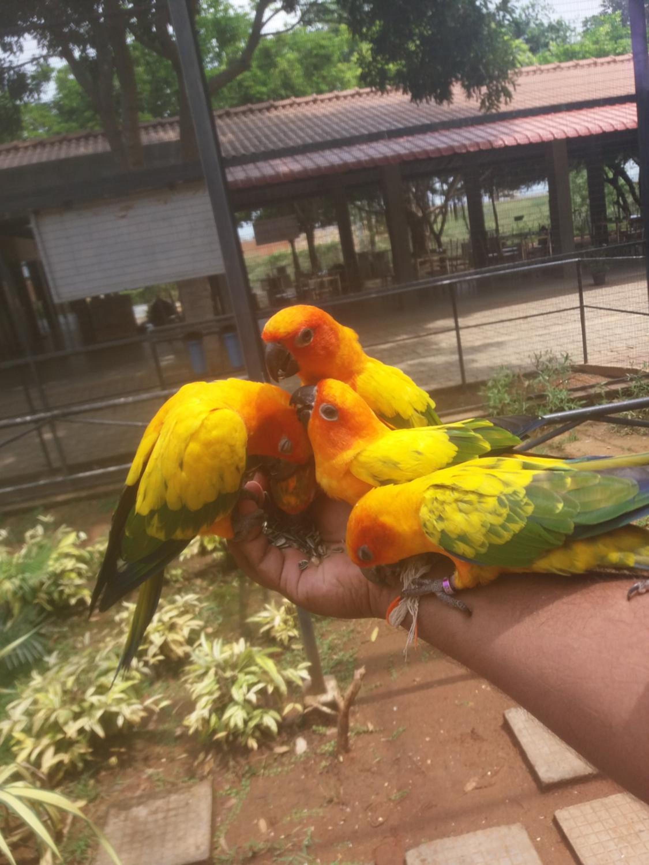 Amawin Resort