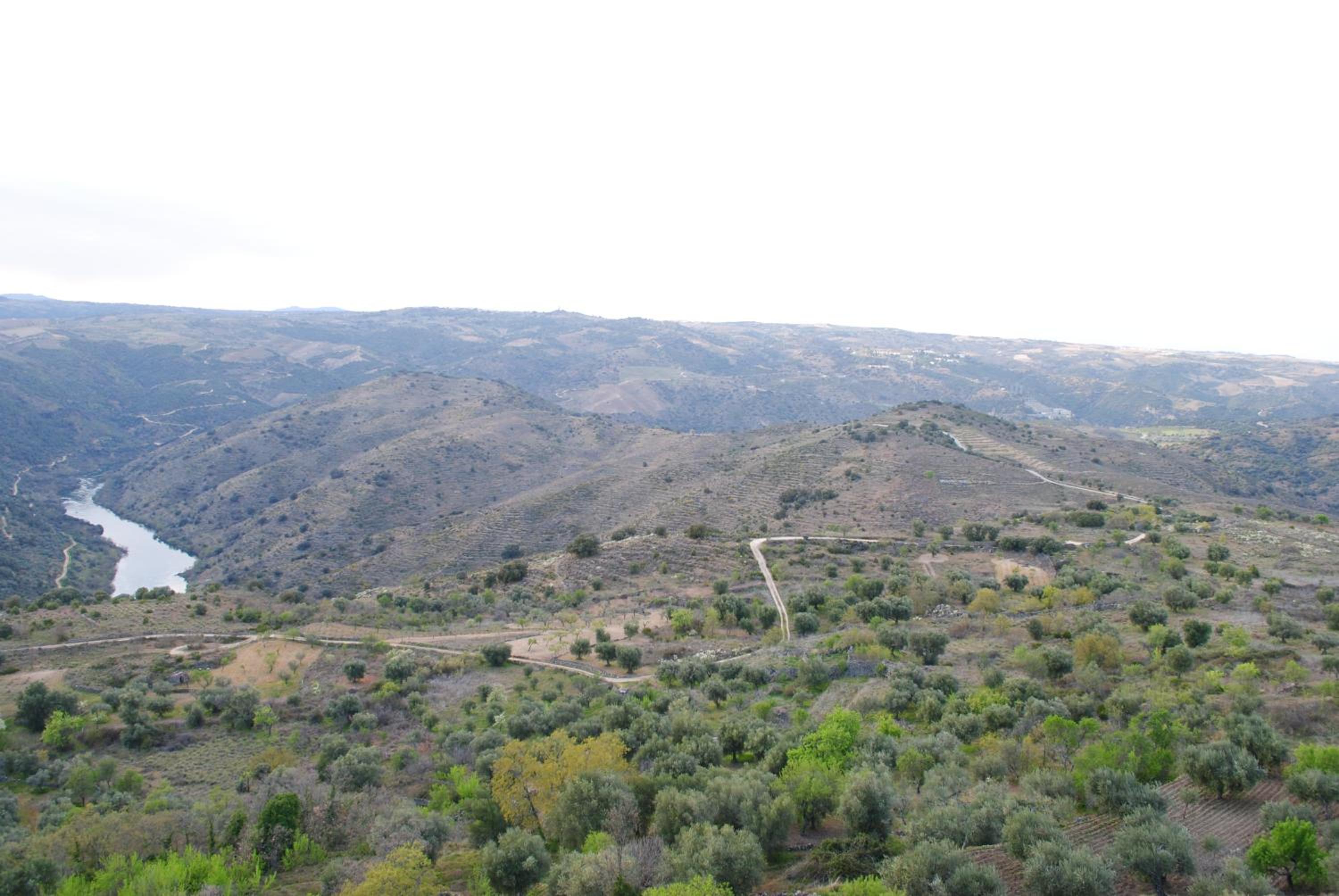 Casa Cabañal view 5