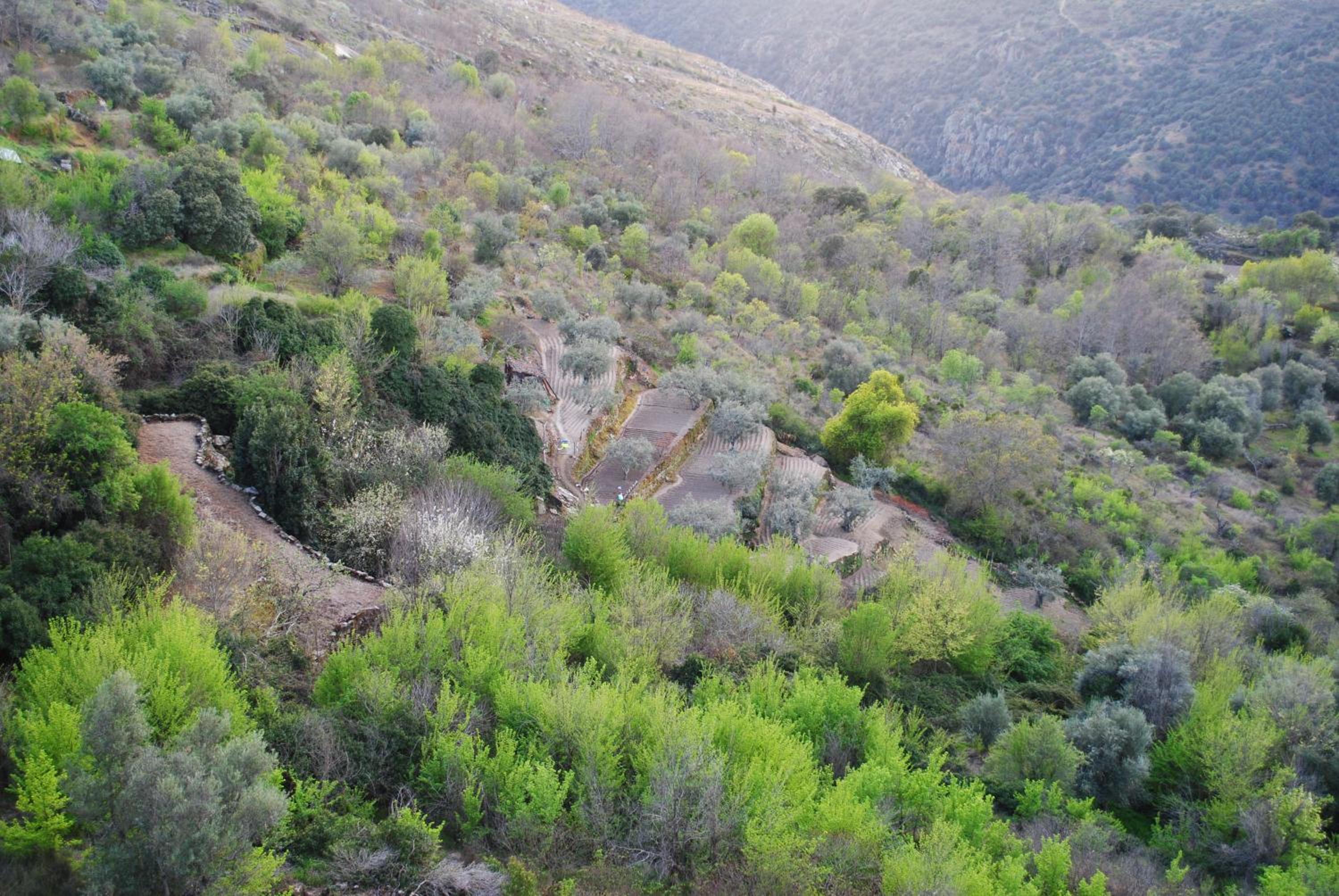 Casa Cabañal view 4