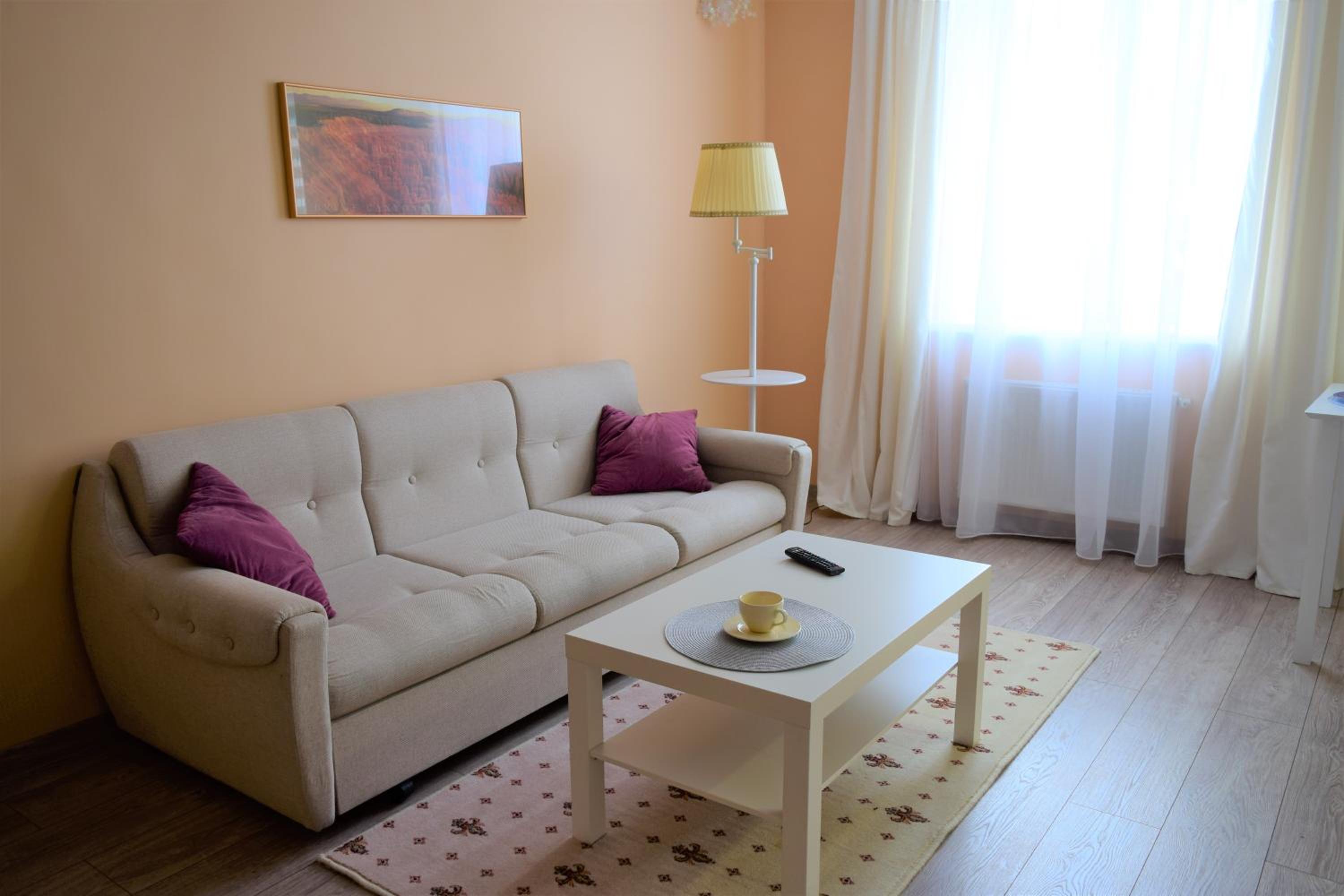 Central comfortable one-bedroom apartment
