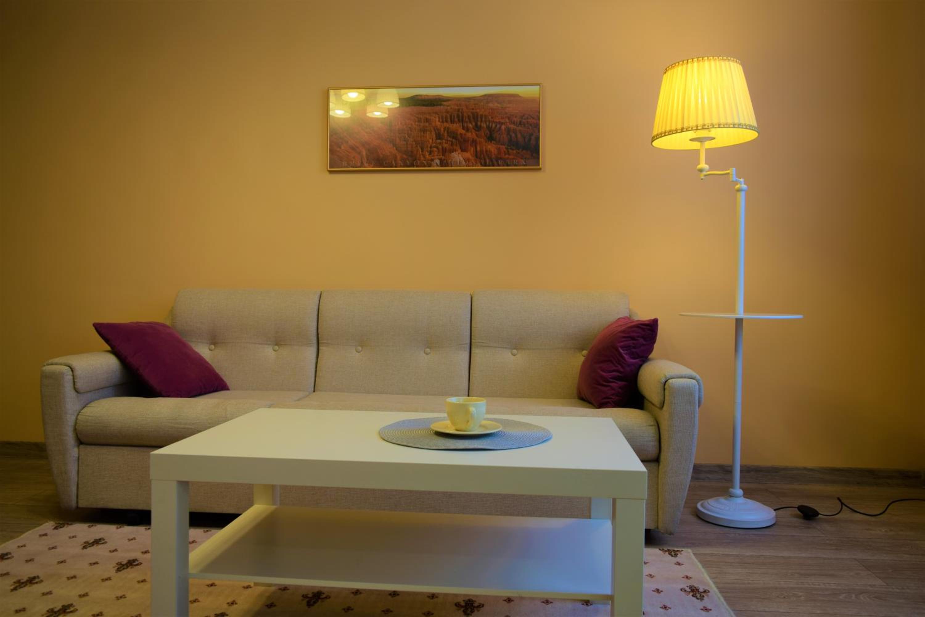 Central comfortable one-bedroom apartment