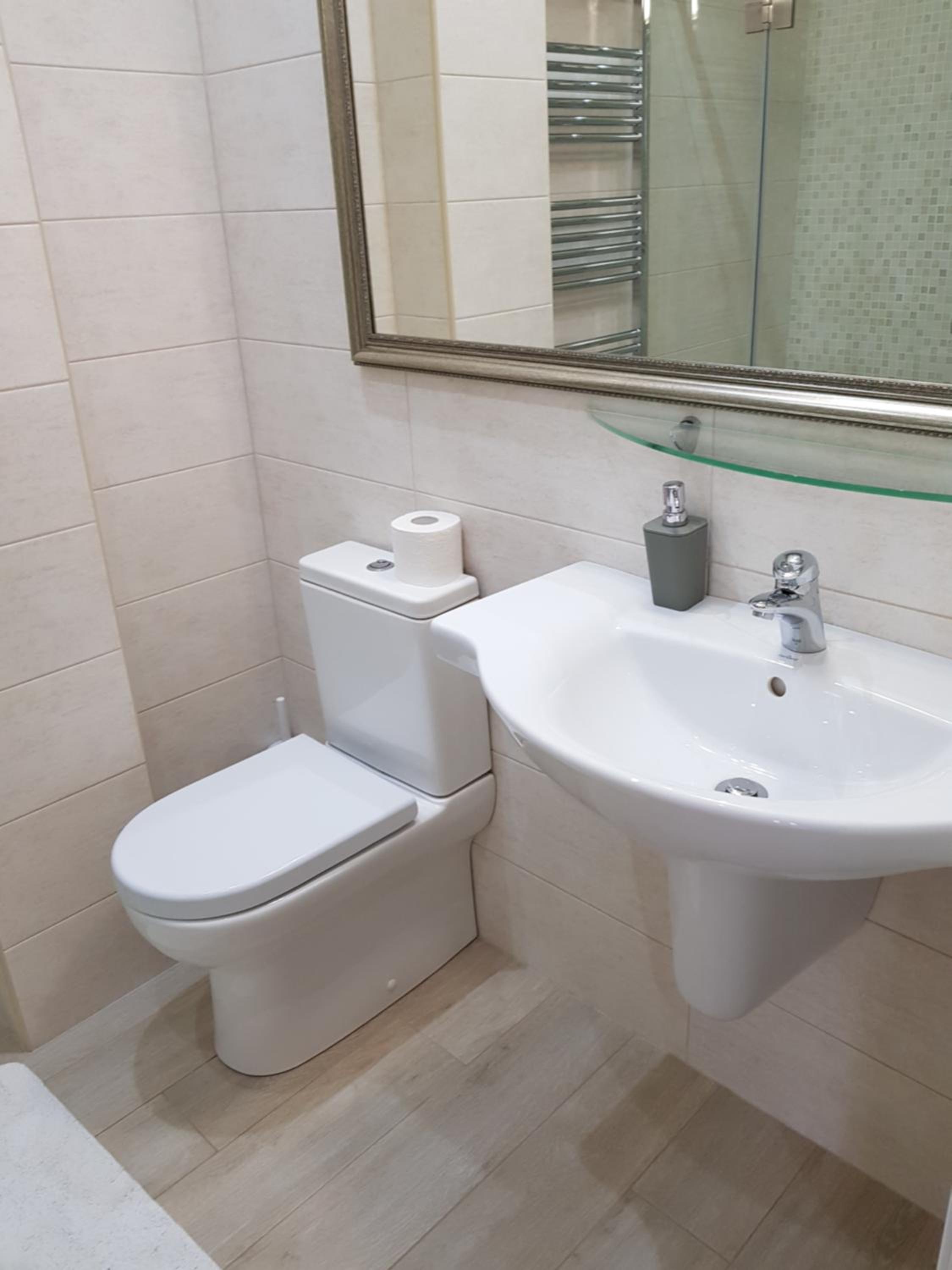 Central comfortable one-bedroom apartment
