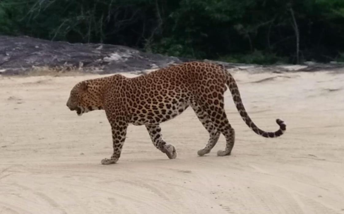 Amawin Resort