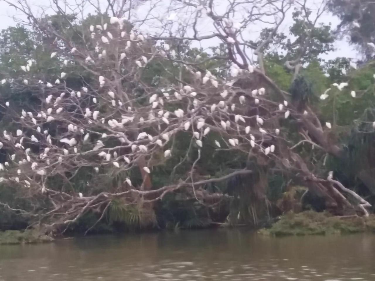 Amawin Resort