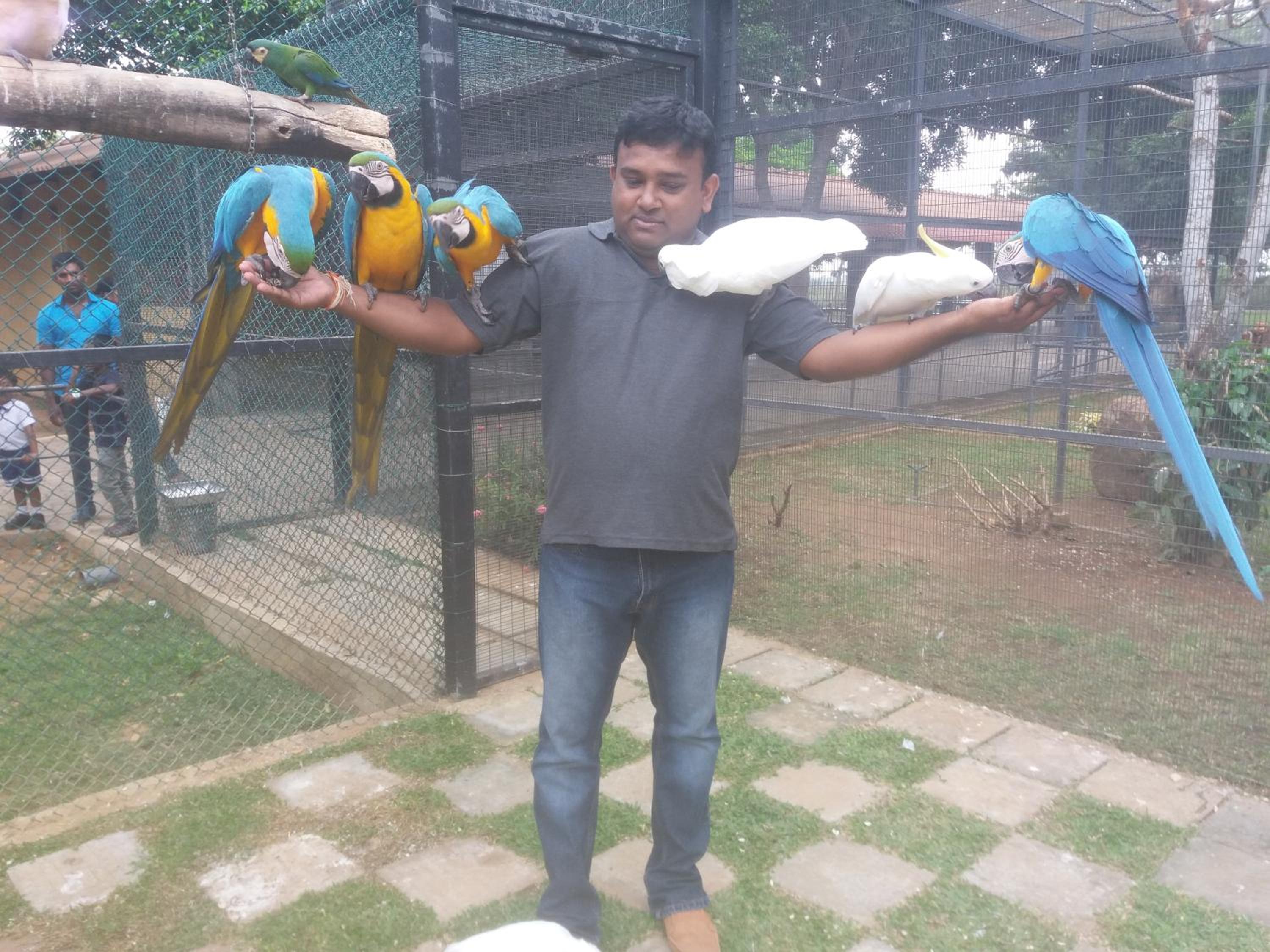 Amawin Resort