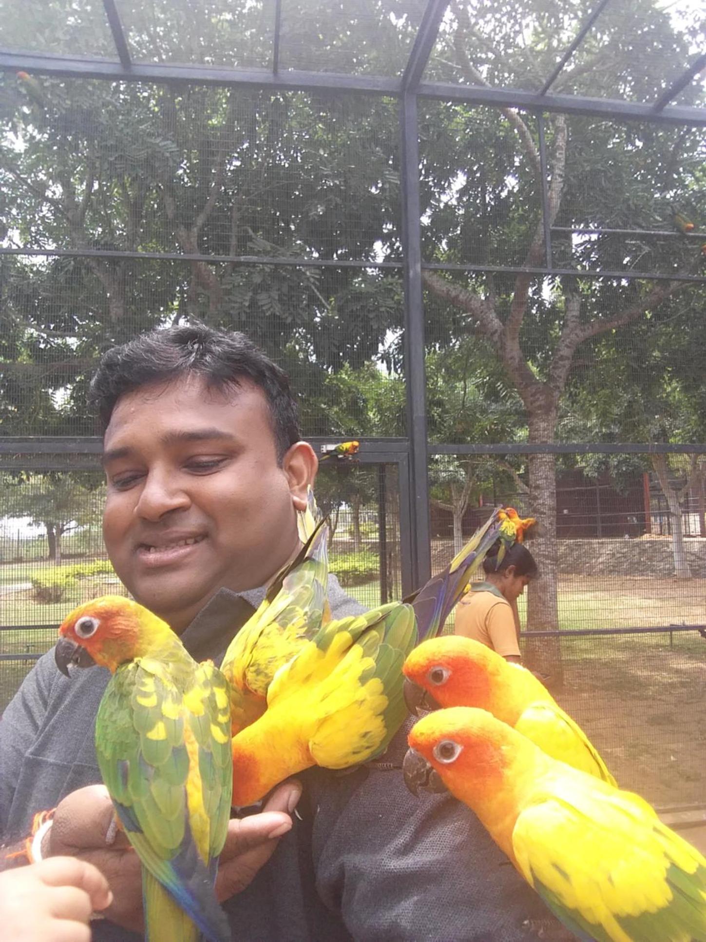 Amawin Resort