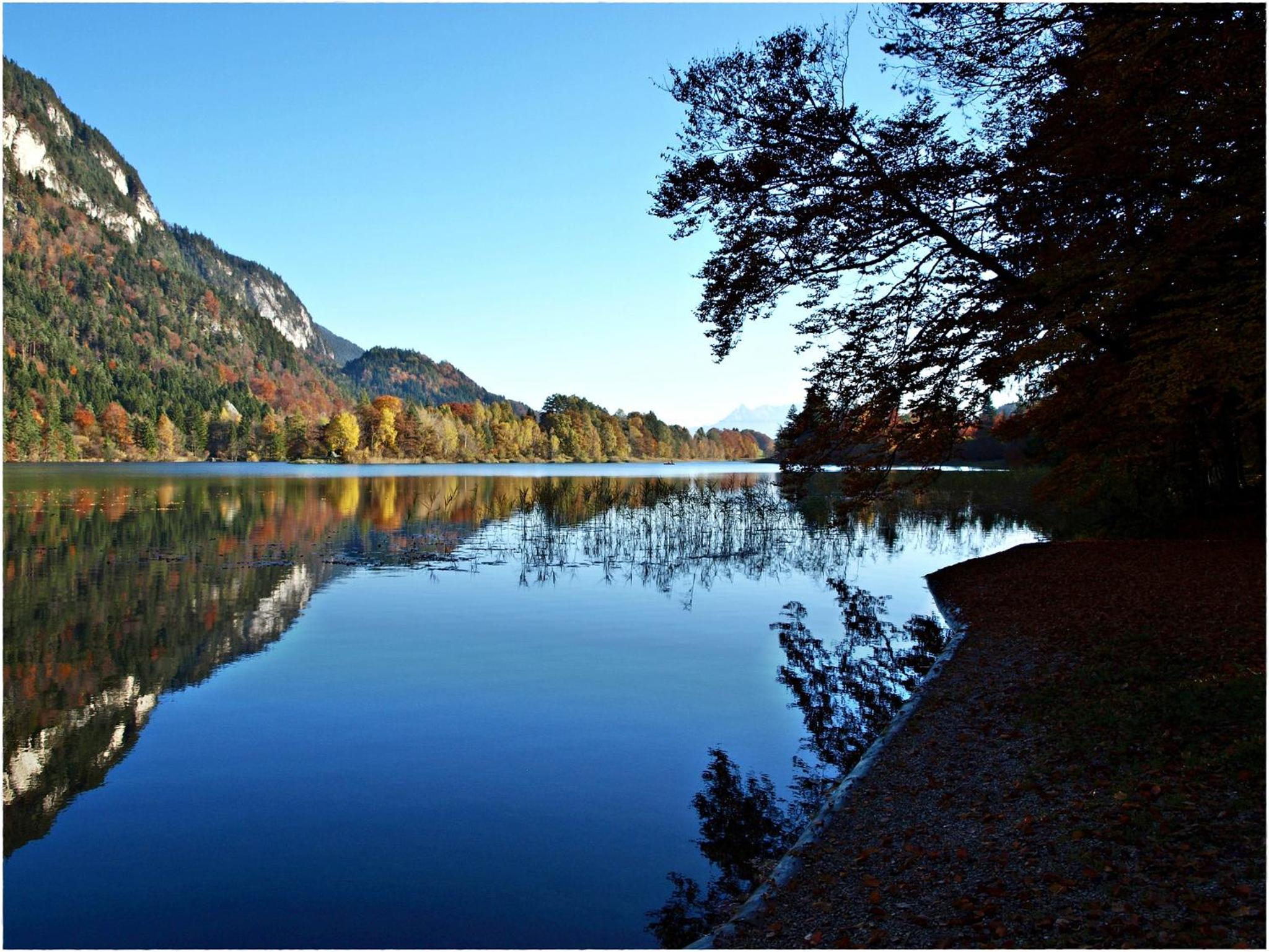 Urlaub am Bauernhof Windhaghof
