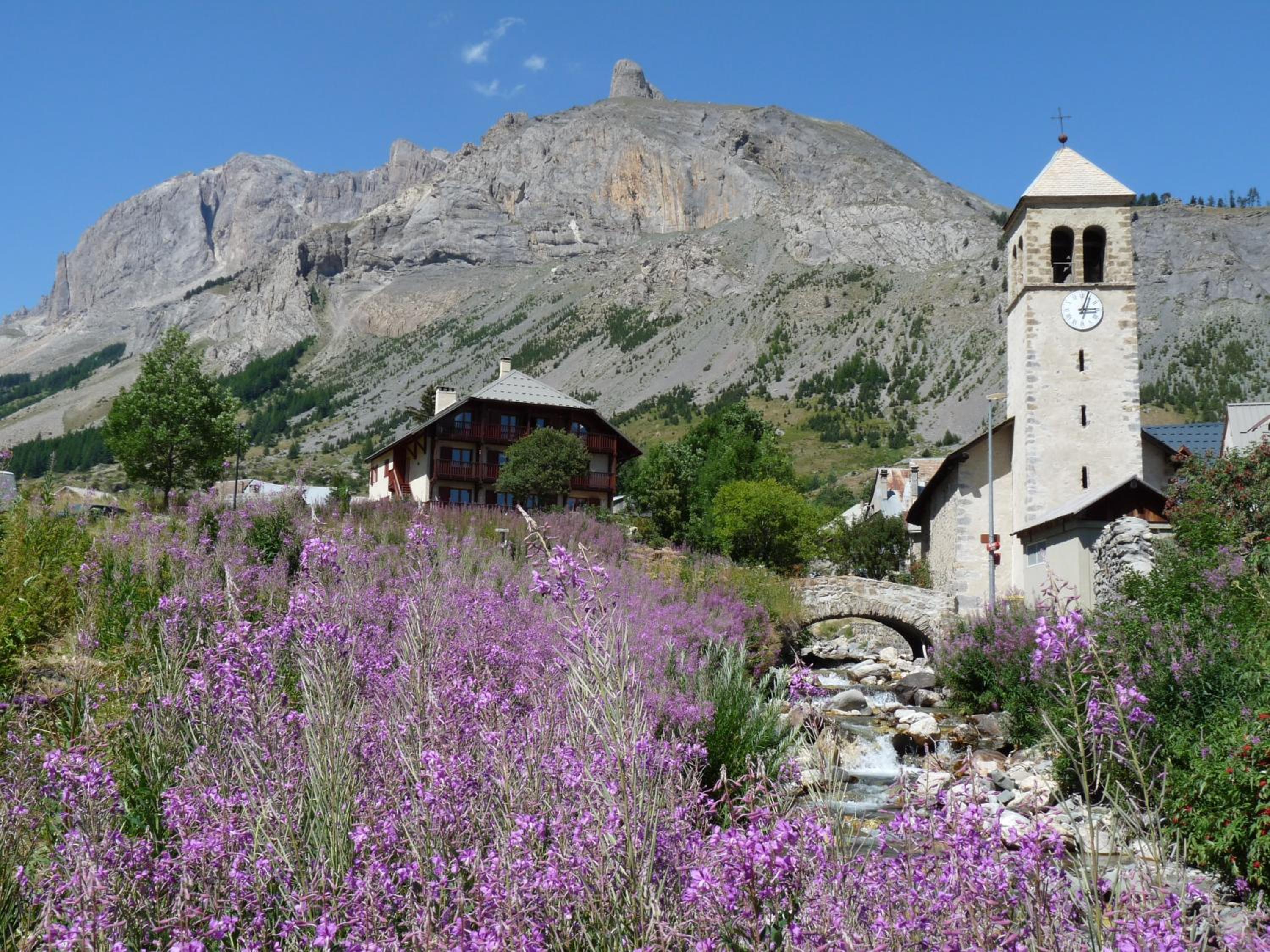 Photo 25