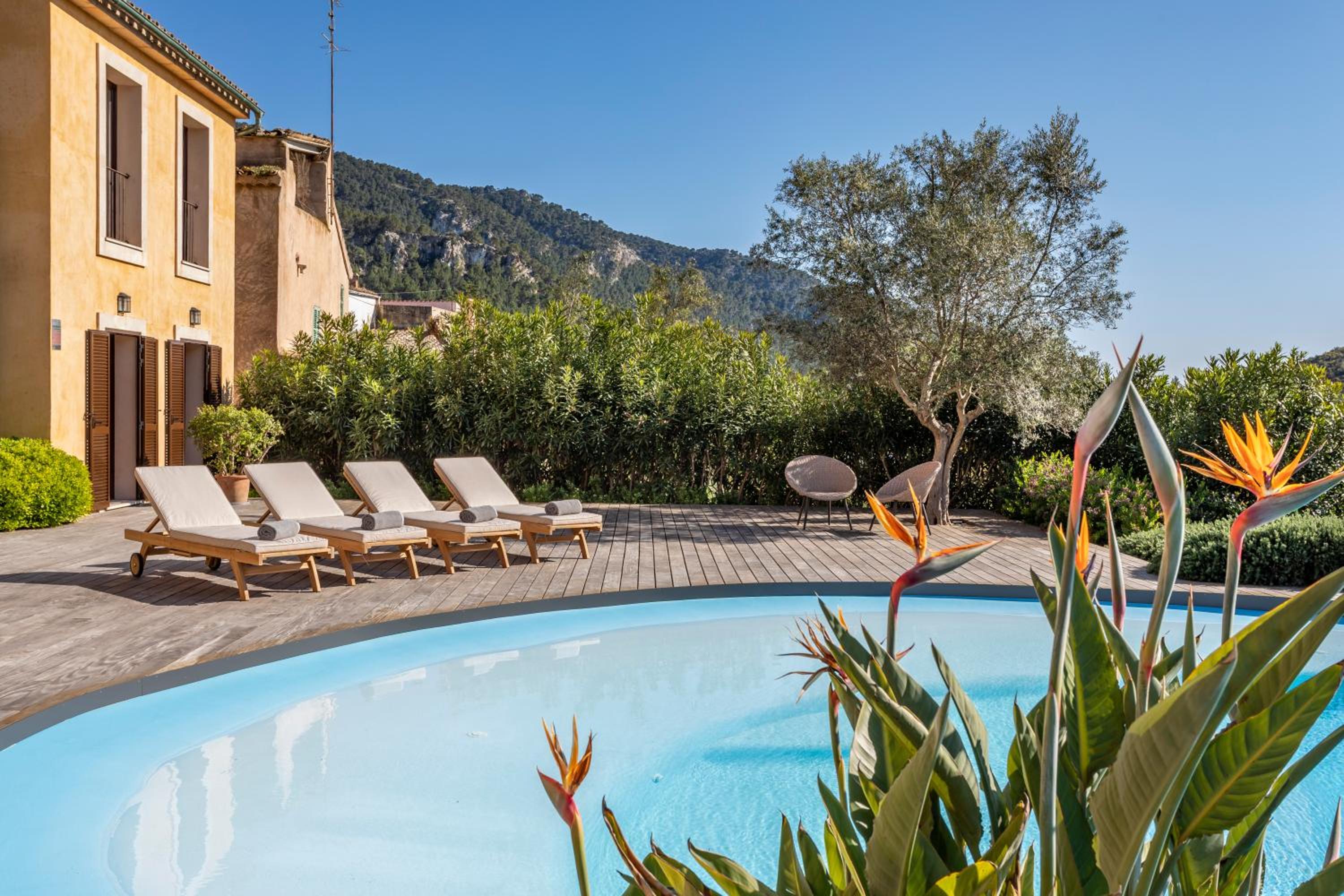 Finca Cabrita view 3