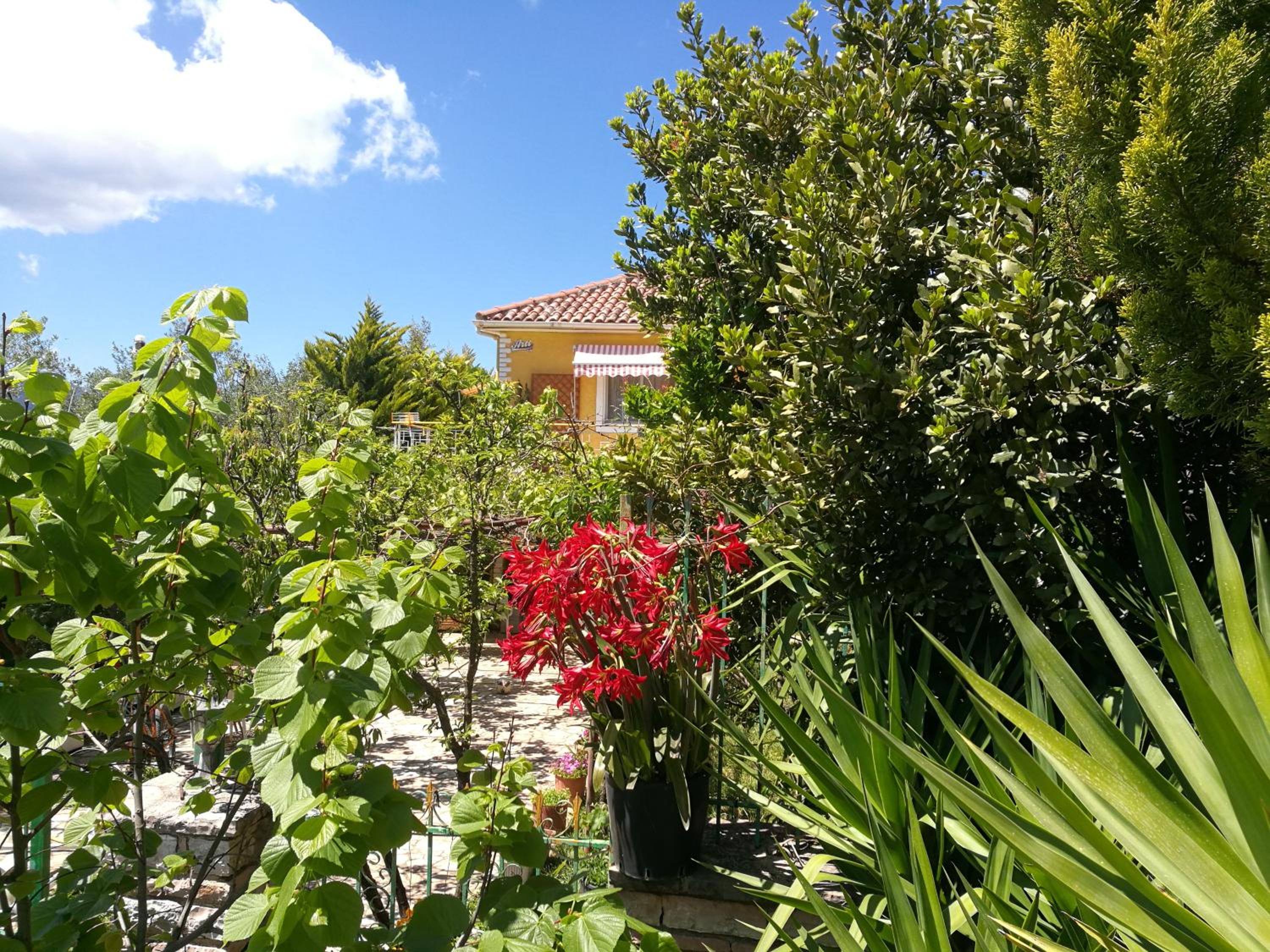 Arti Vila
