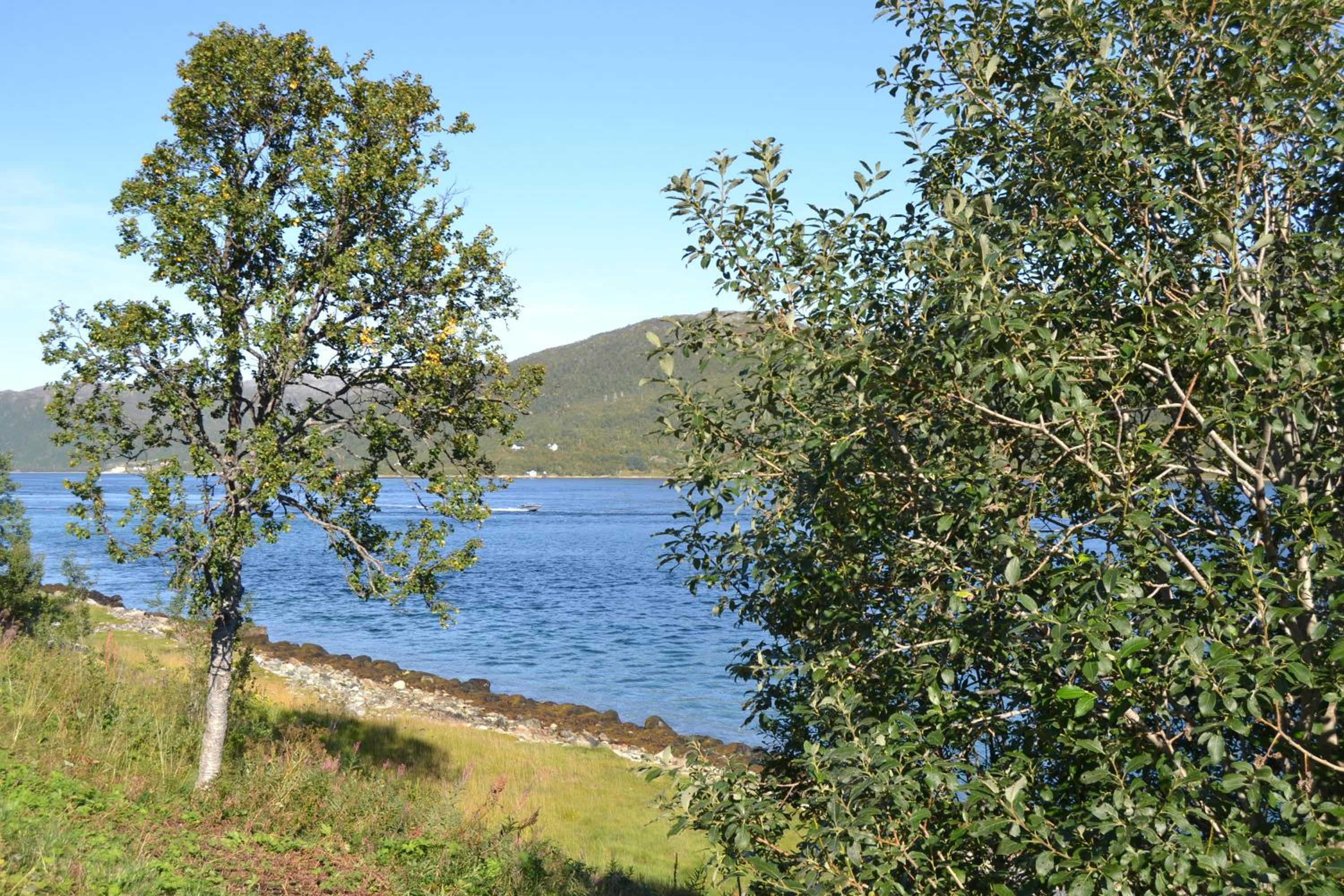 Photo 8