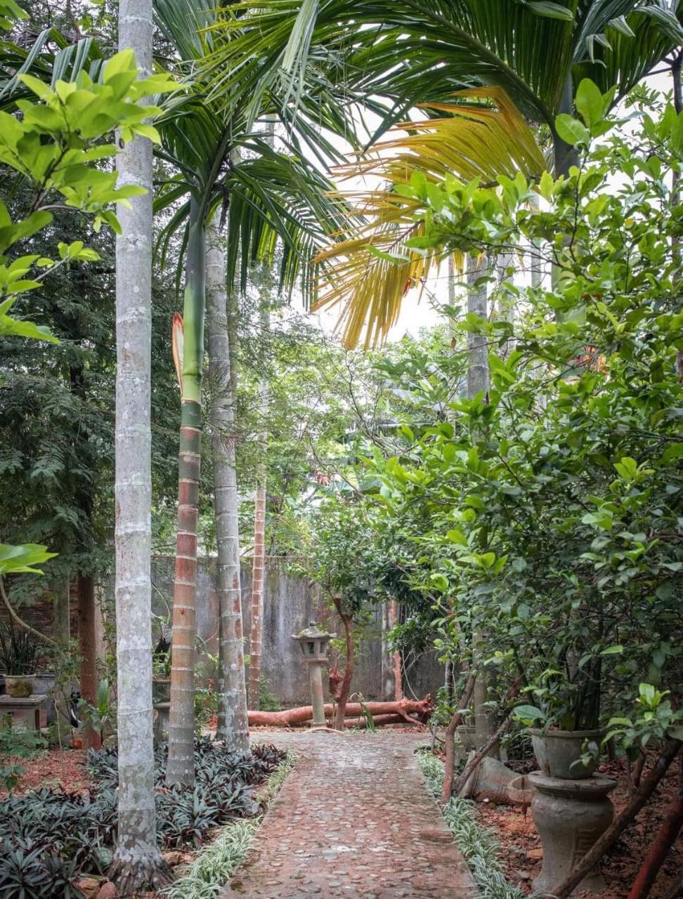 Ciel Homestay view 5