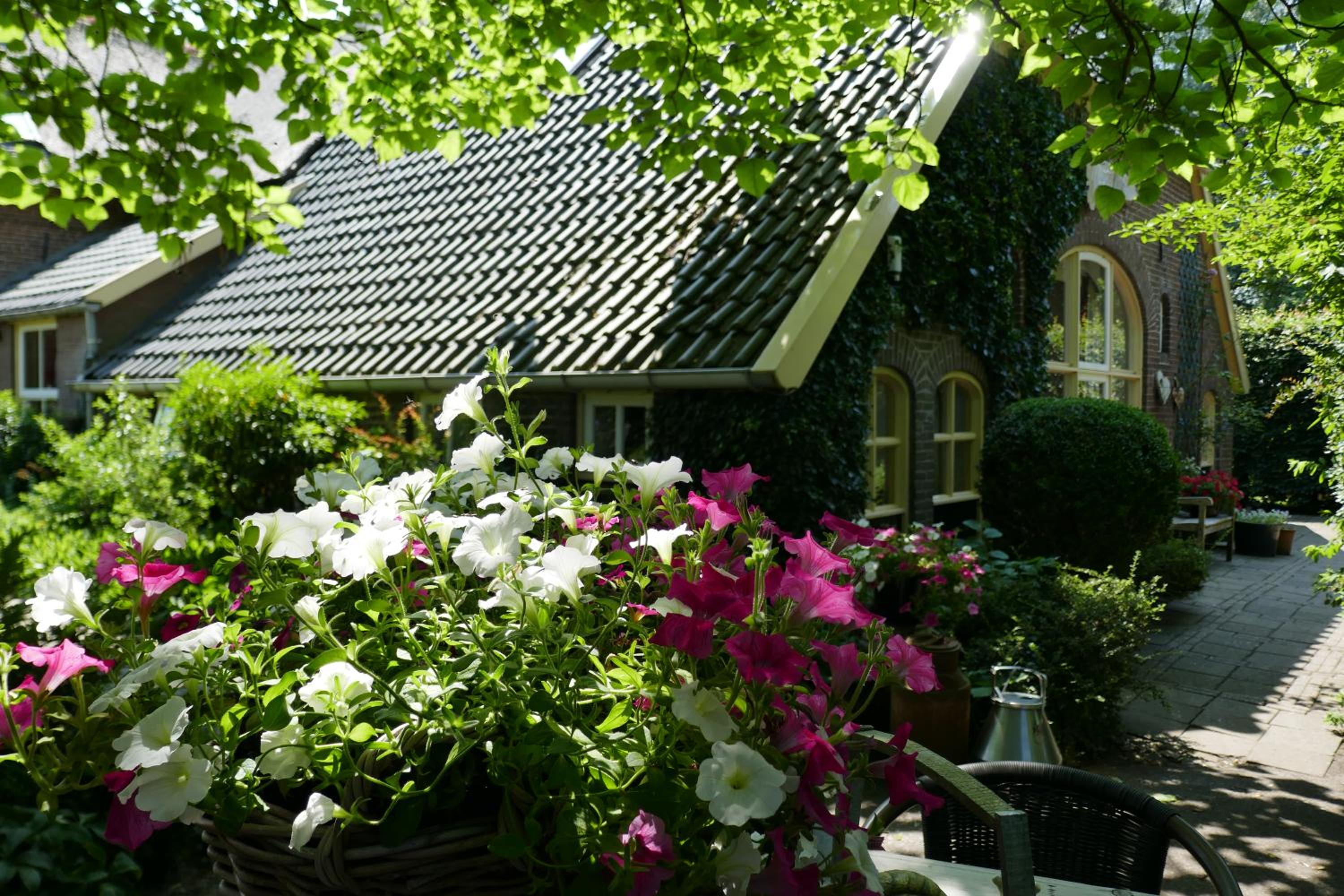Photo 41
