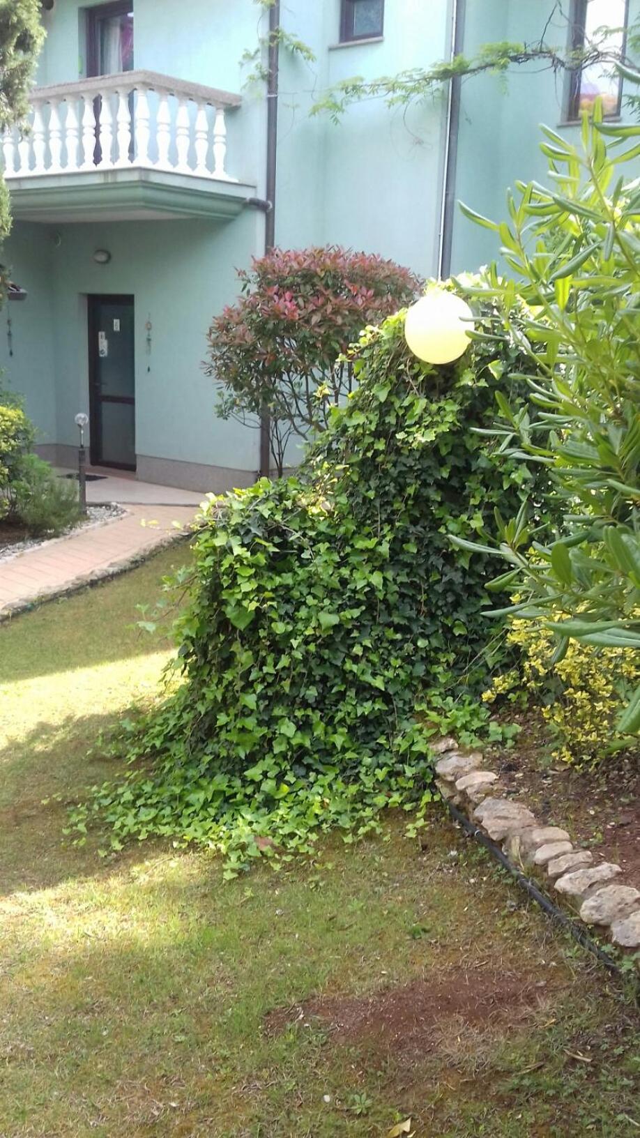 Villa Verde Apartments and Rooms view 4