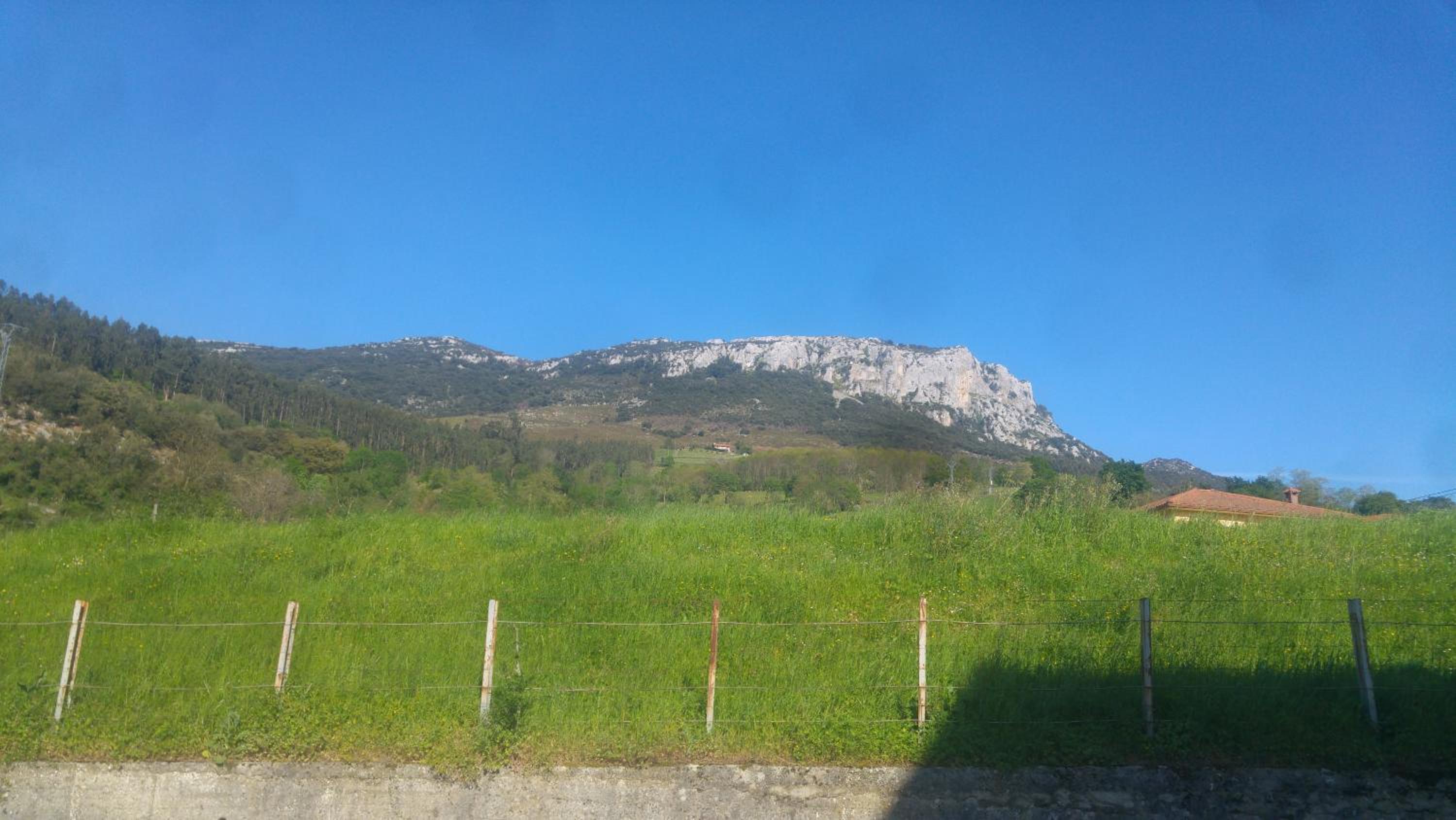 Photo 33