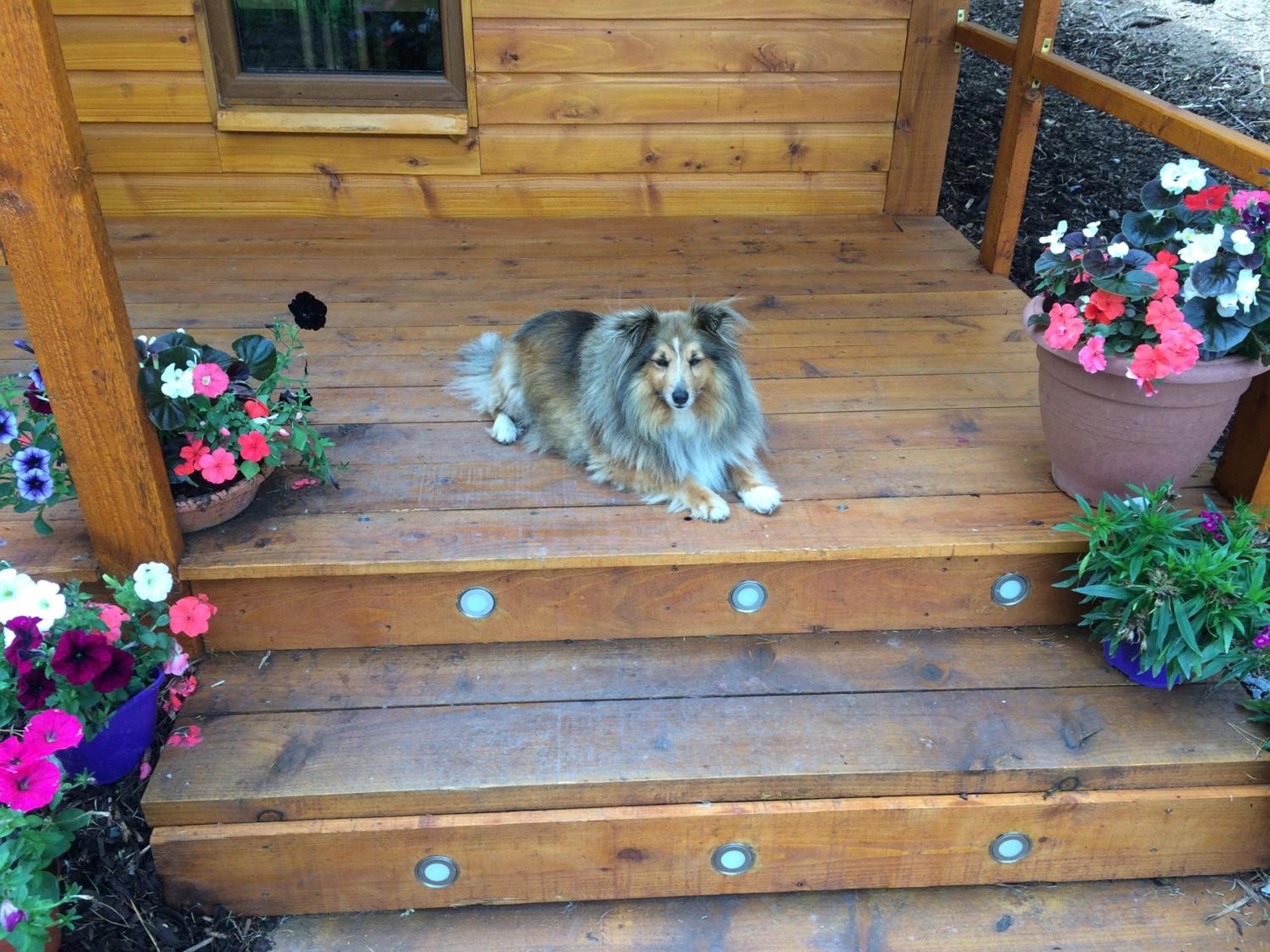 Photo 13