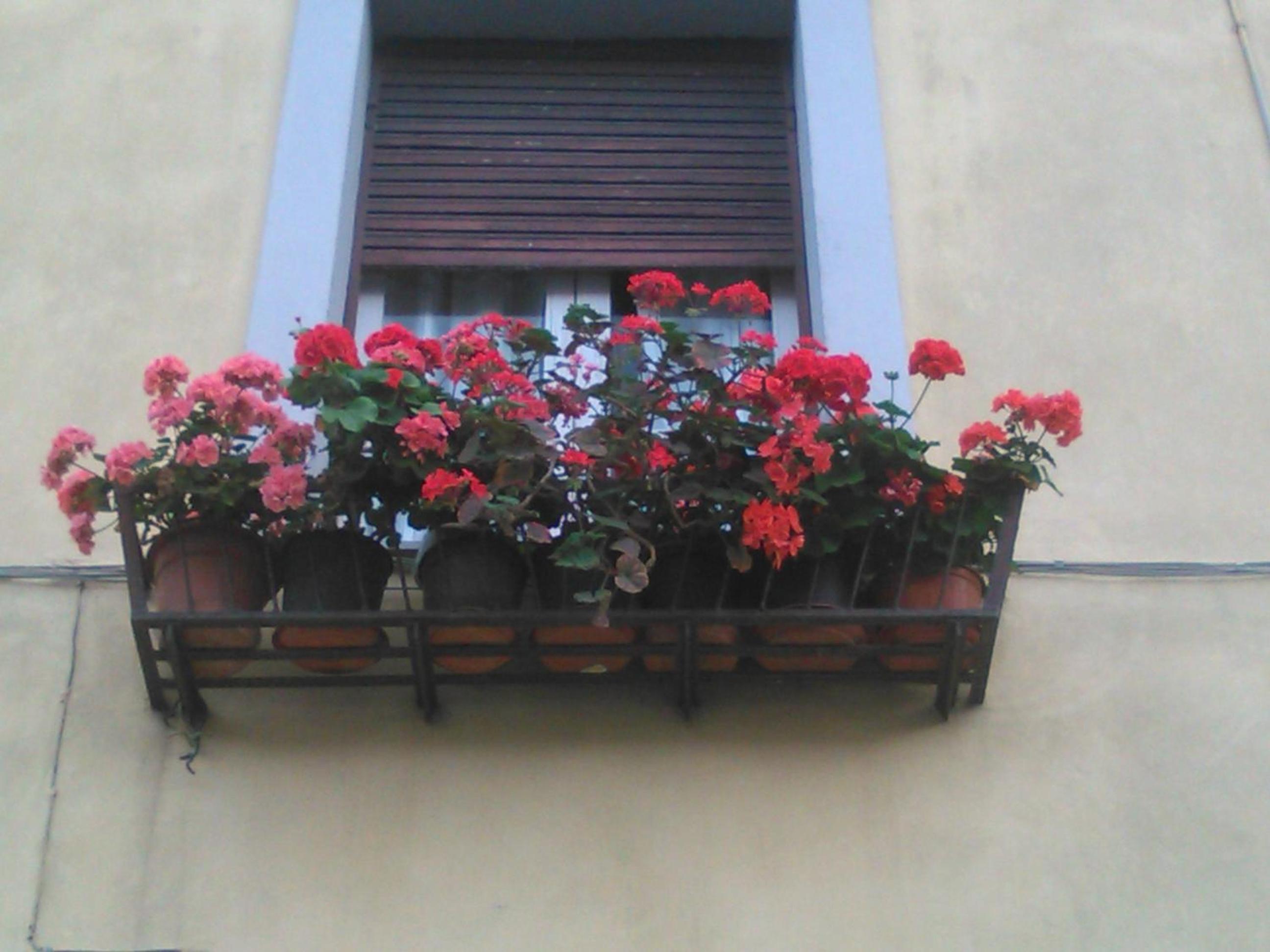 La casa dei Fiori photo 2