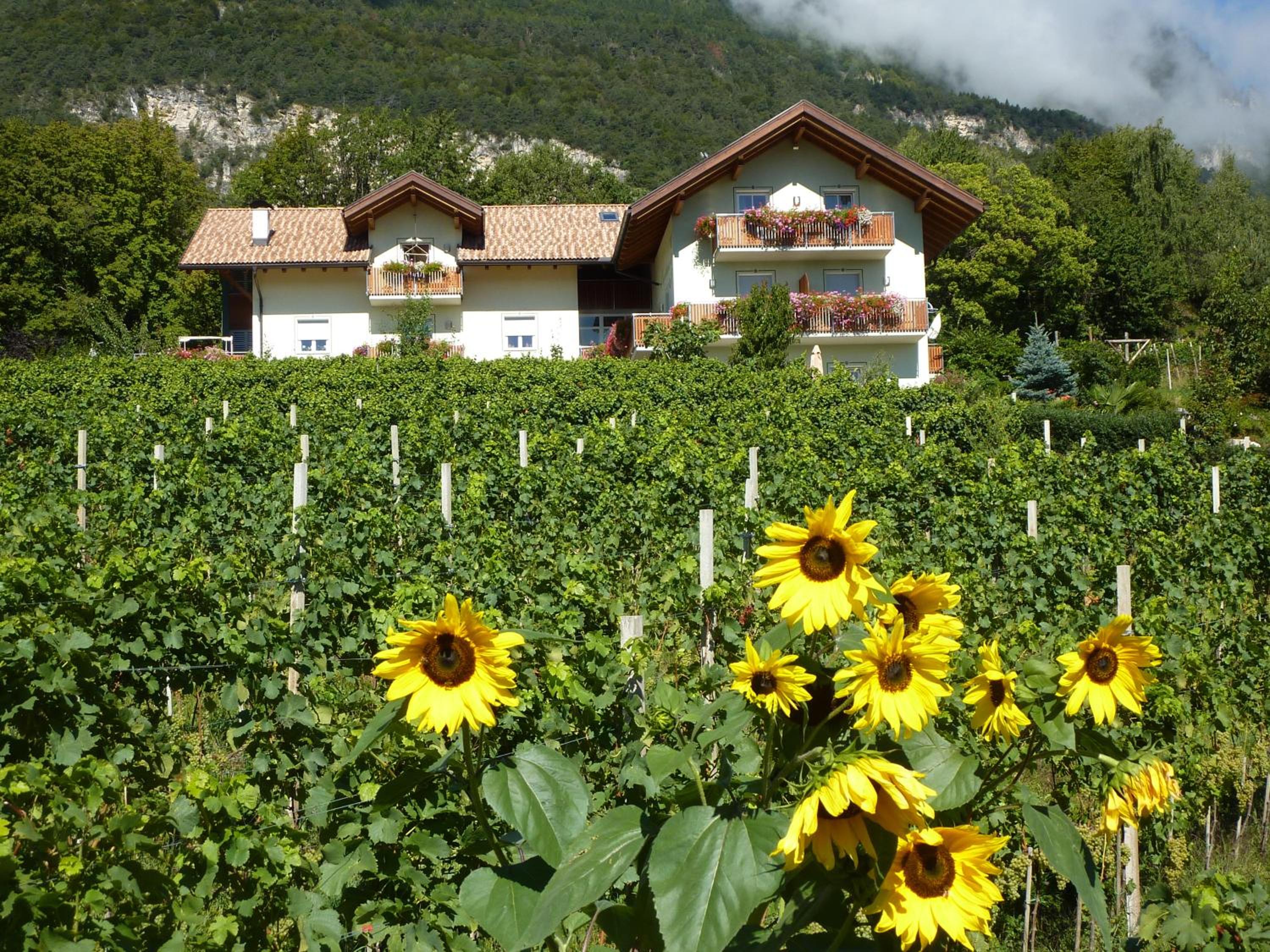 Kerschbamerhof im Süden Südtirols