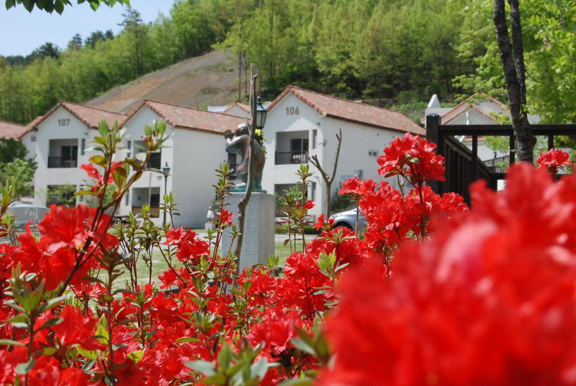 Meta Pension, DamYang, Damyang - 22
