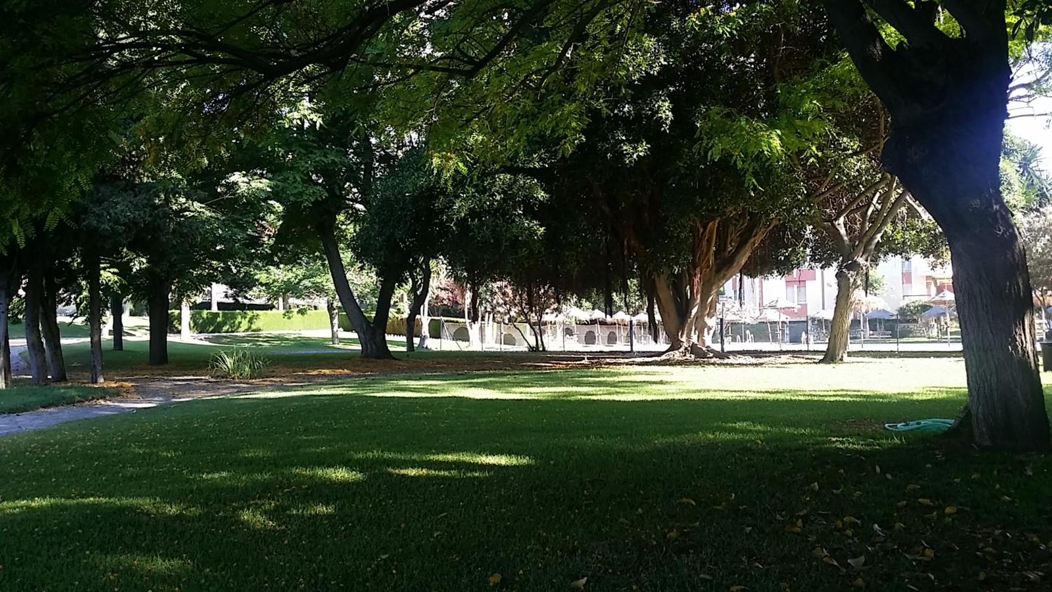 Photo 48