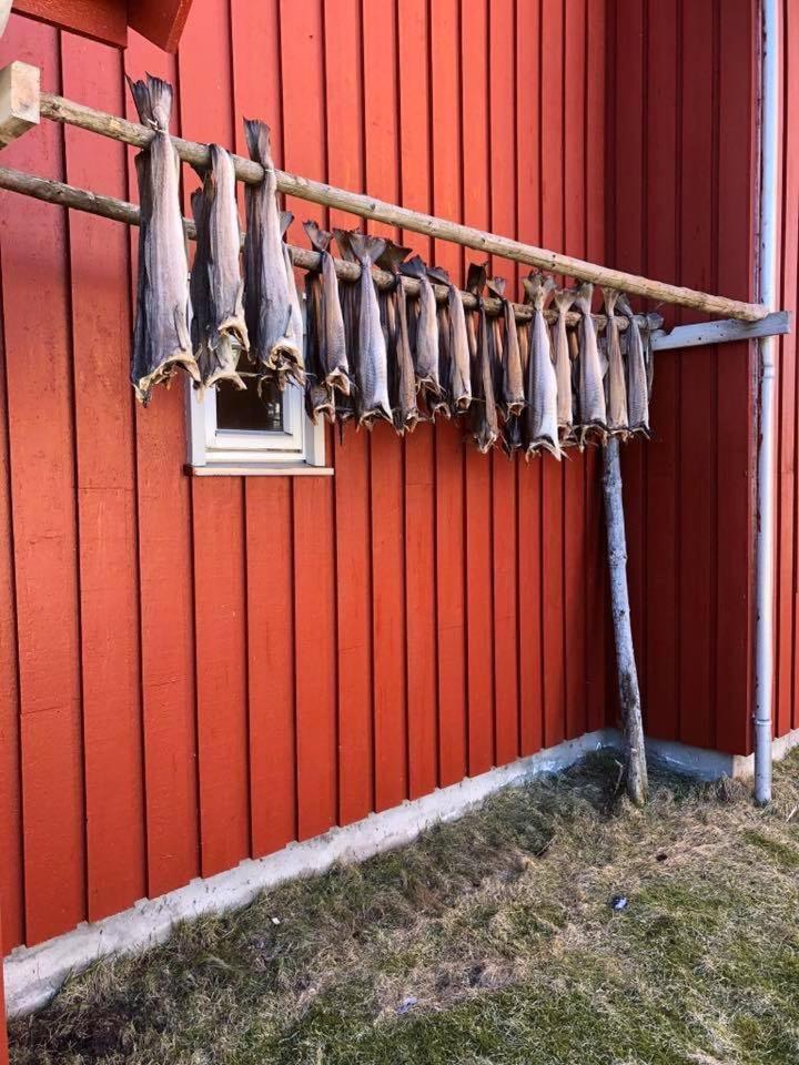 Ballstad Brygge Rorbu