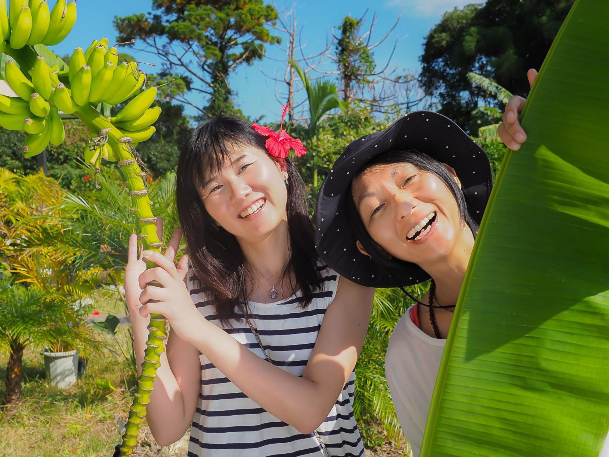 森のフェアリー Cottage Morino Fairy All cotage with open-air bath with sea view or river view