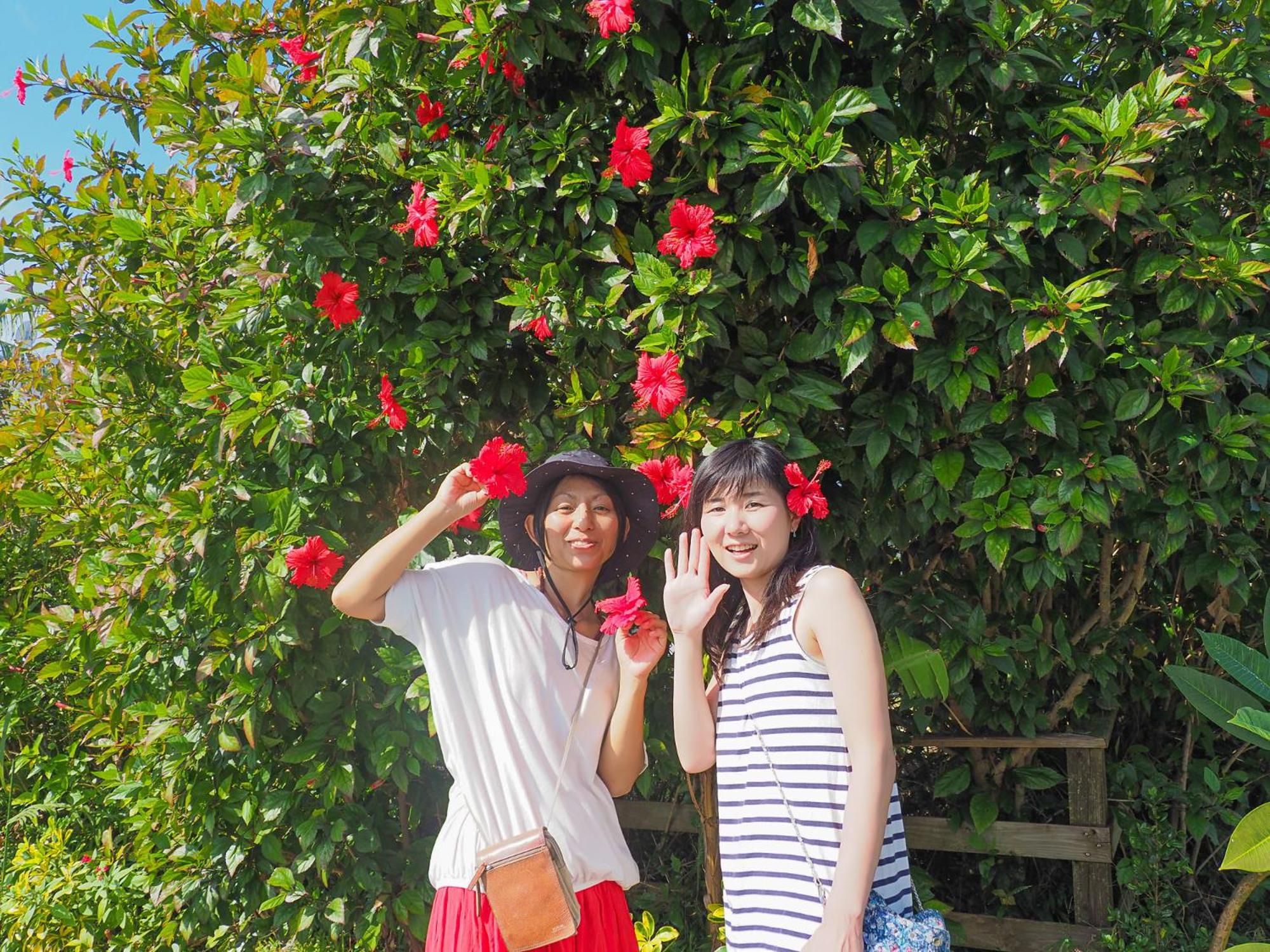 森のフェアリー Cottage Morino Fairy All cotage with open-air bath with sea view or river view
