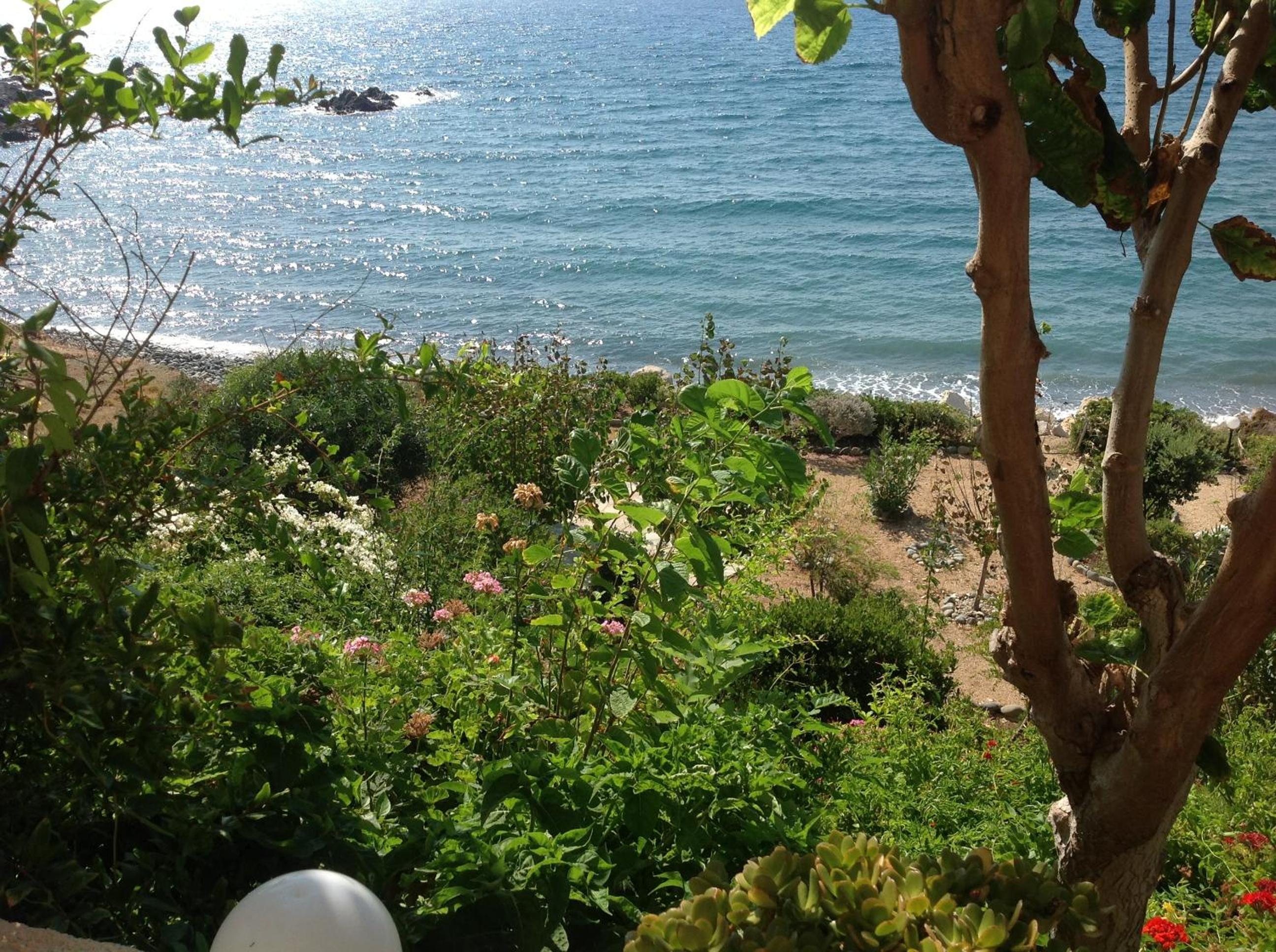 Photo 46