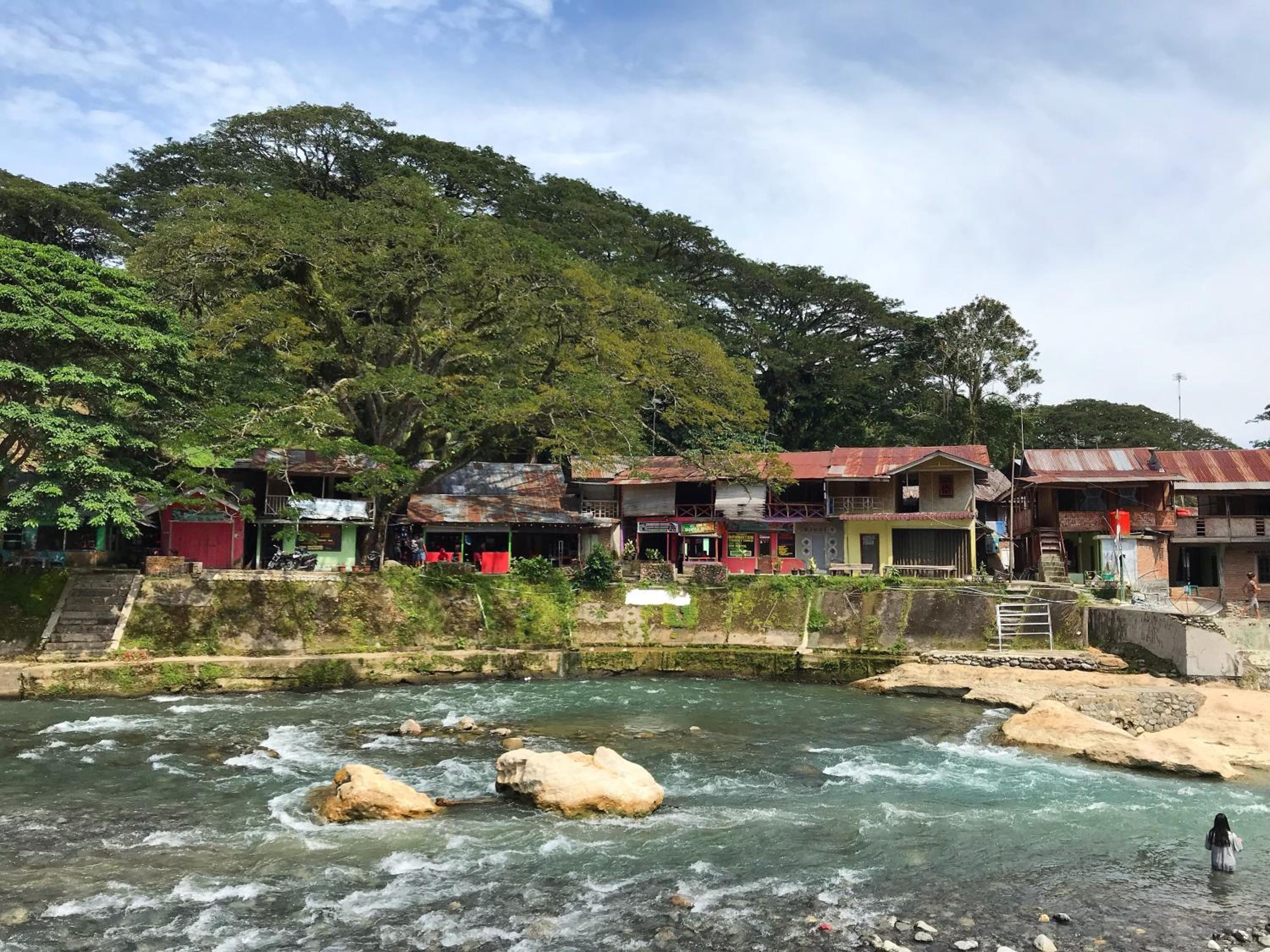 Villa Paradise - Bukit Lawang