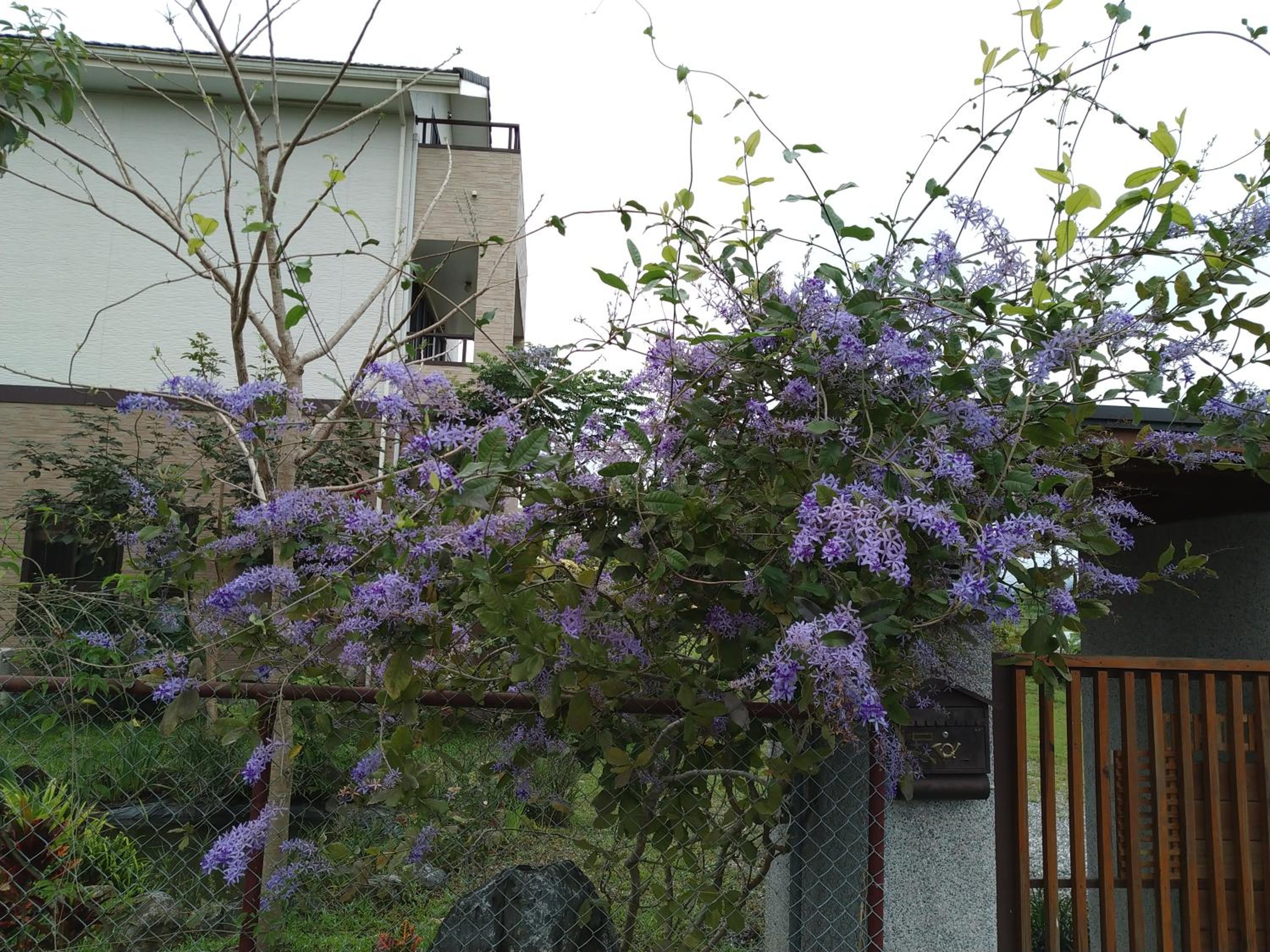 Celine's B&B