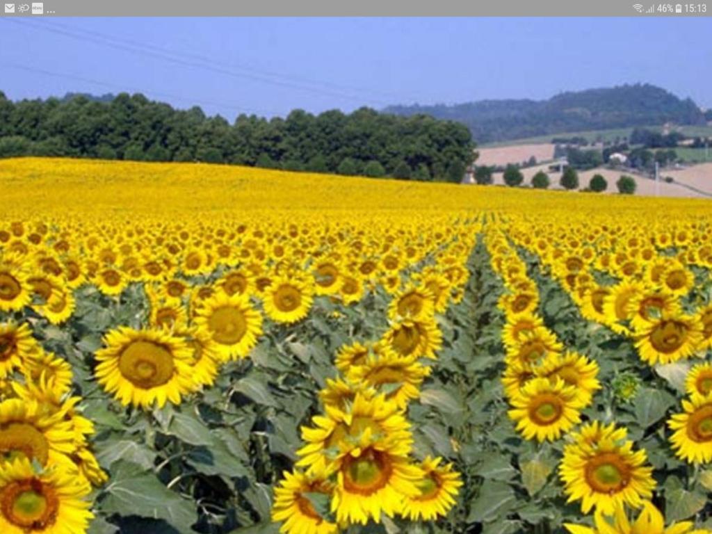 Agriturismo mare natura