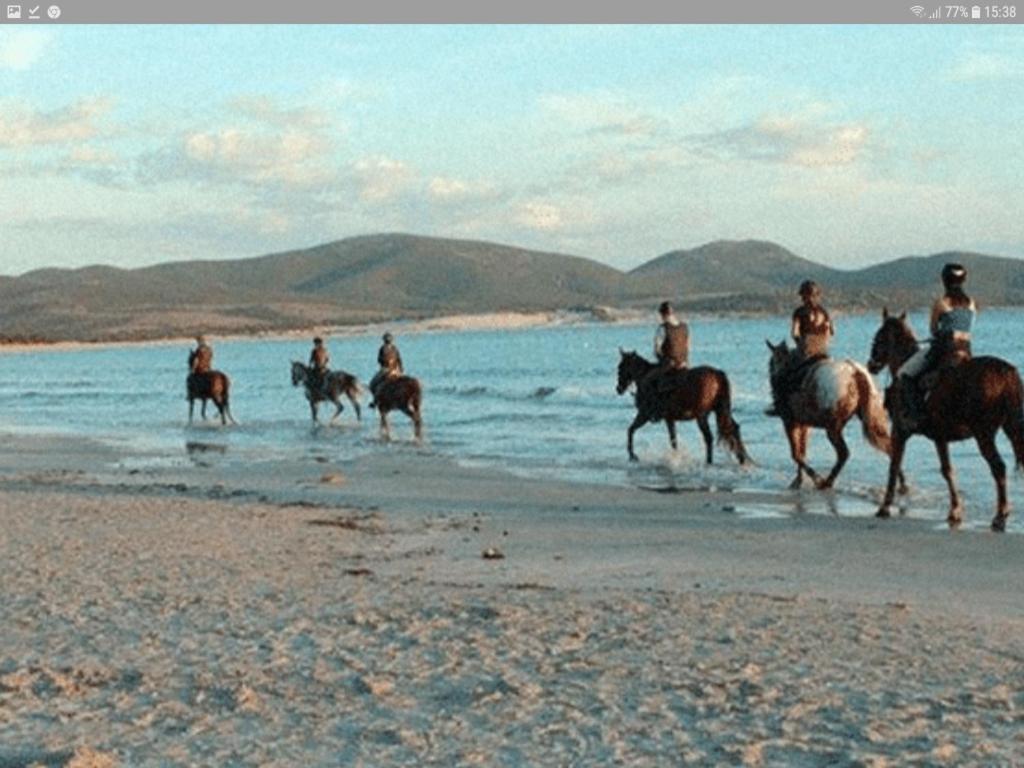 Agriturismo mare natura