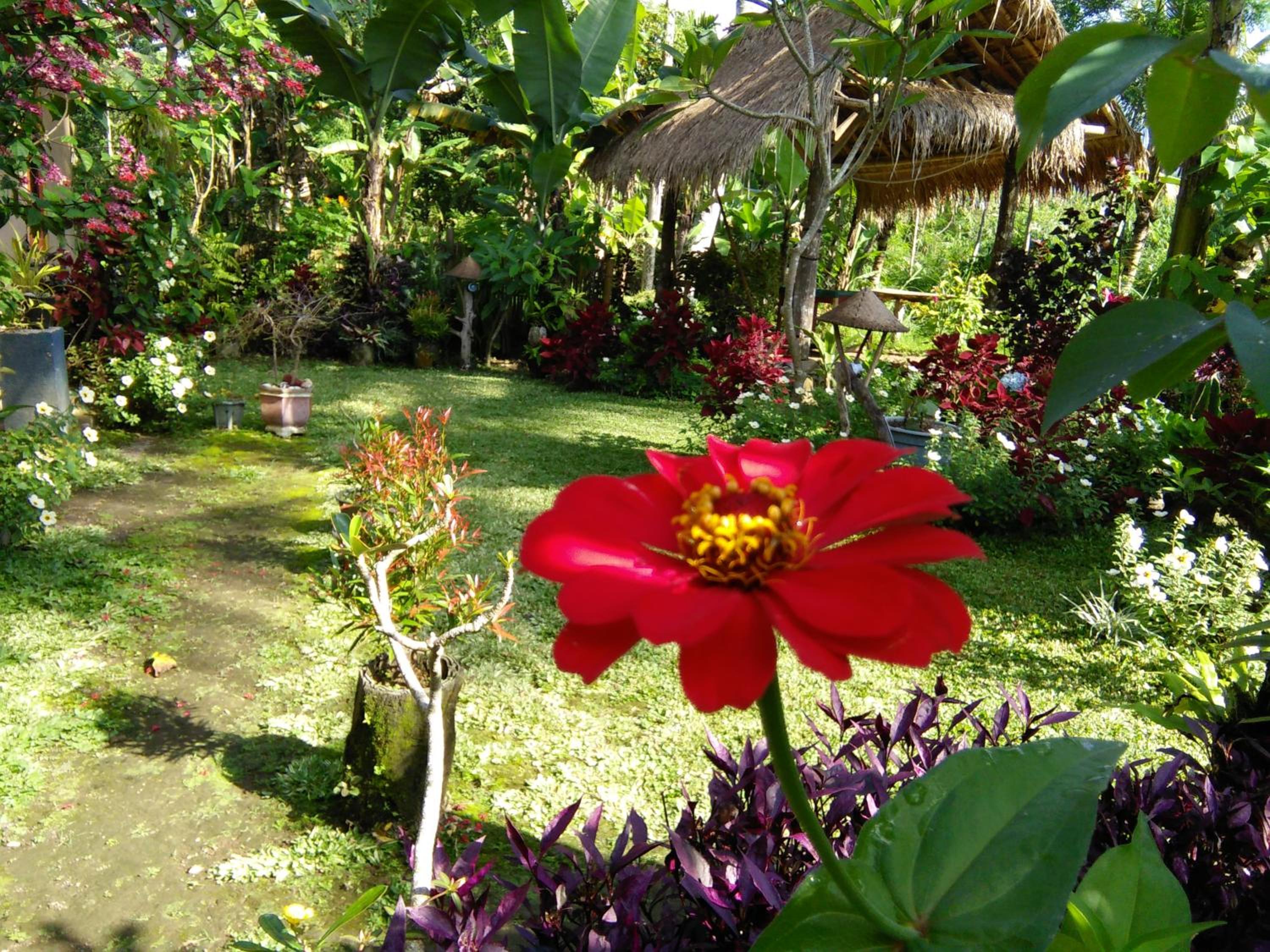Photo 20