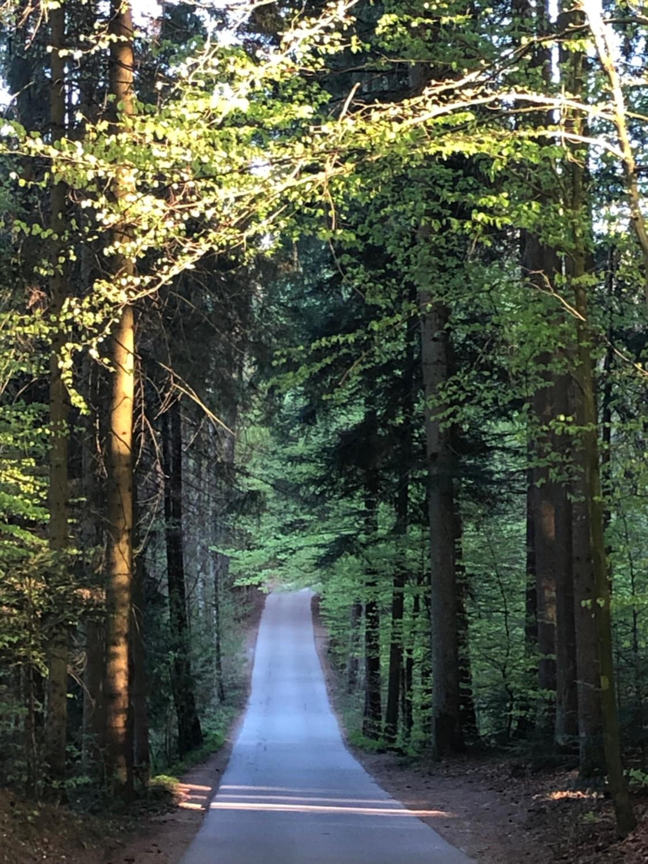 Wanderlust Chiemgau